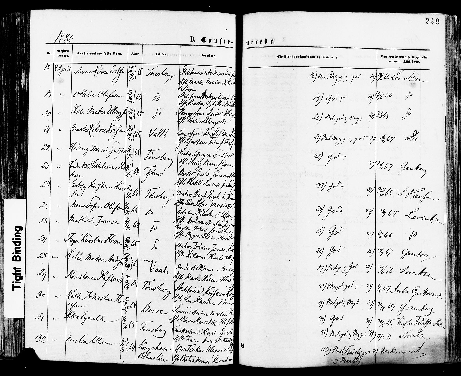 Tønsberg kirkebøker, AV/SAKO-A-330/F/Fa/L0010: Parish register (official) no. I 10, 1874-1880, p. 249