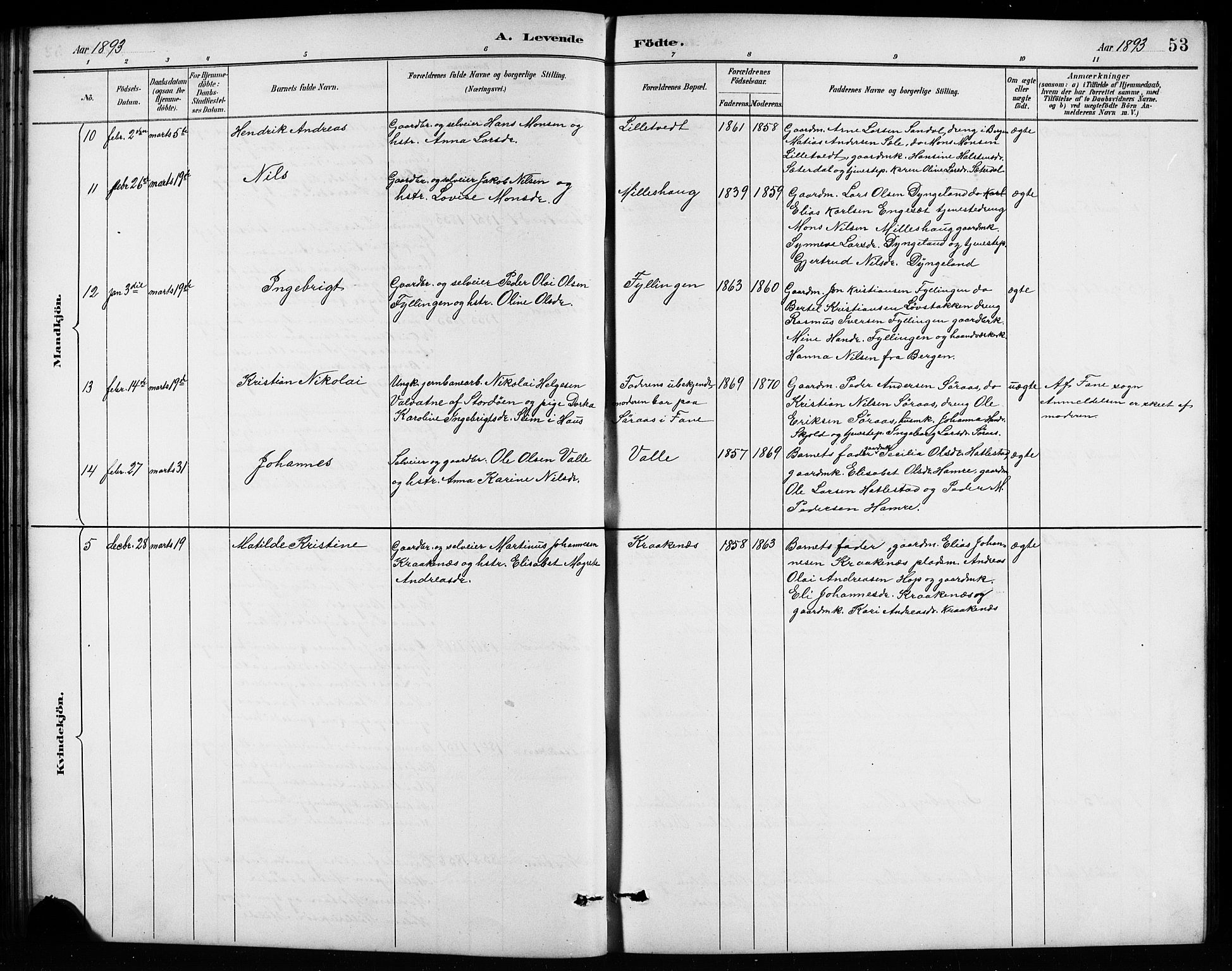 Birkeland Sokneprestembete, AV/SAB-A-74601/H/Hab: Parish register (copy) no. A 4, 1888-1897, p. 53