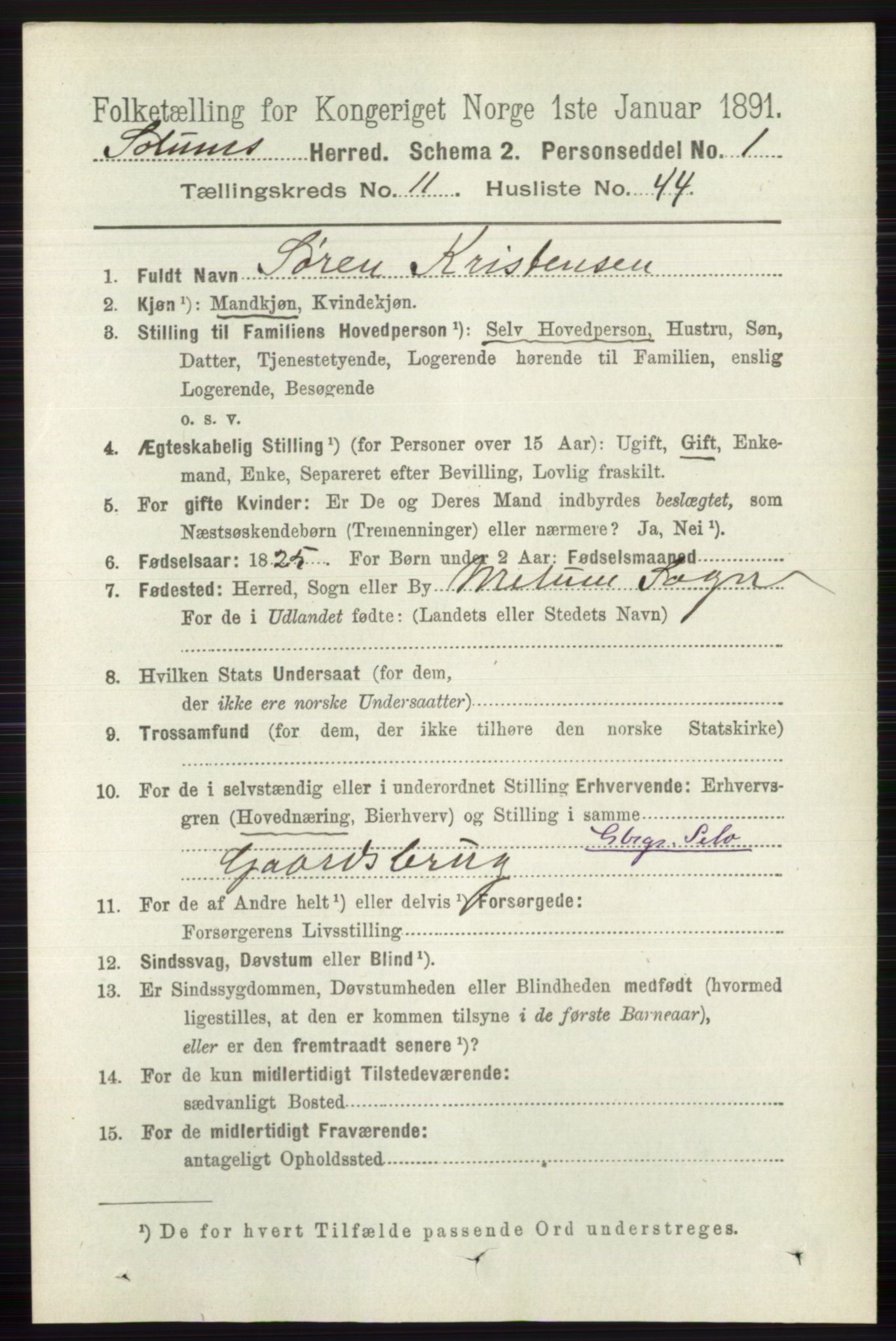 RA, 1891 census for 0818 Solum, 1891, p. 5528