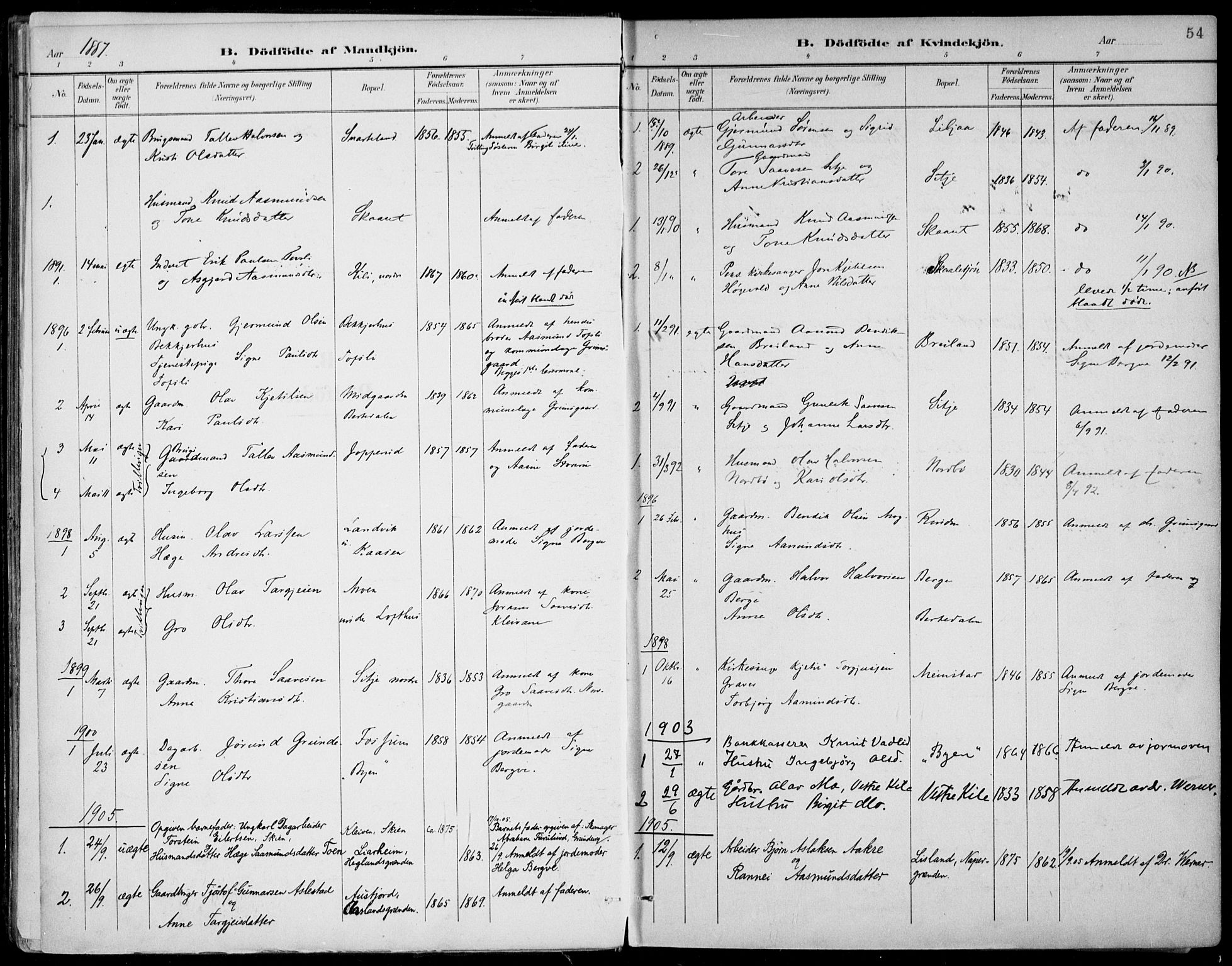 Fyresdal kirkebøker, AV/SAKO-A-263/F/Fa/L0007: Parish register (official) no. I 7, 1887-1914, p. 54