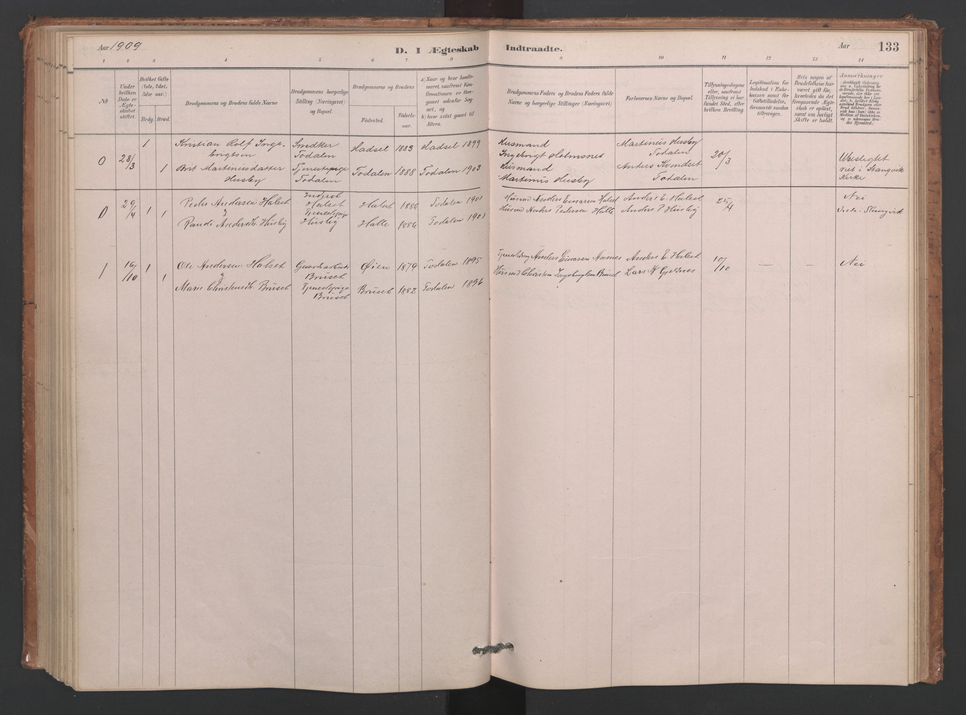 Ministerialprotokoller, klokkerbøker og fødselsregistre - Møre og Romsdal, AV/SAT-A-1454/593/L1034: Parish register (official) no. 593A01, 1879-1911, p. 133