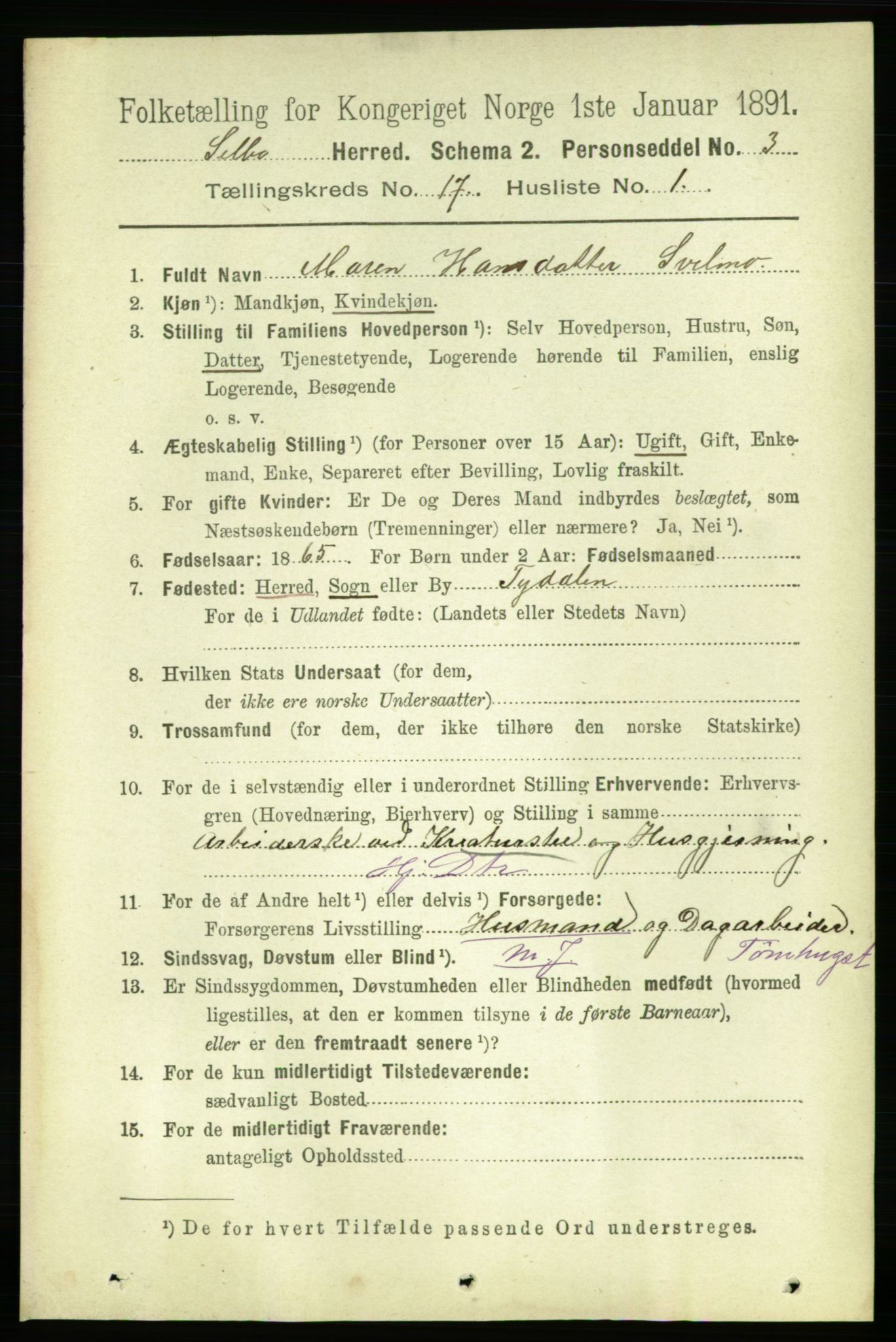 RA, 1891 census for 1664 Selbu, 1891, p. 6061