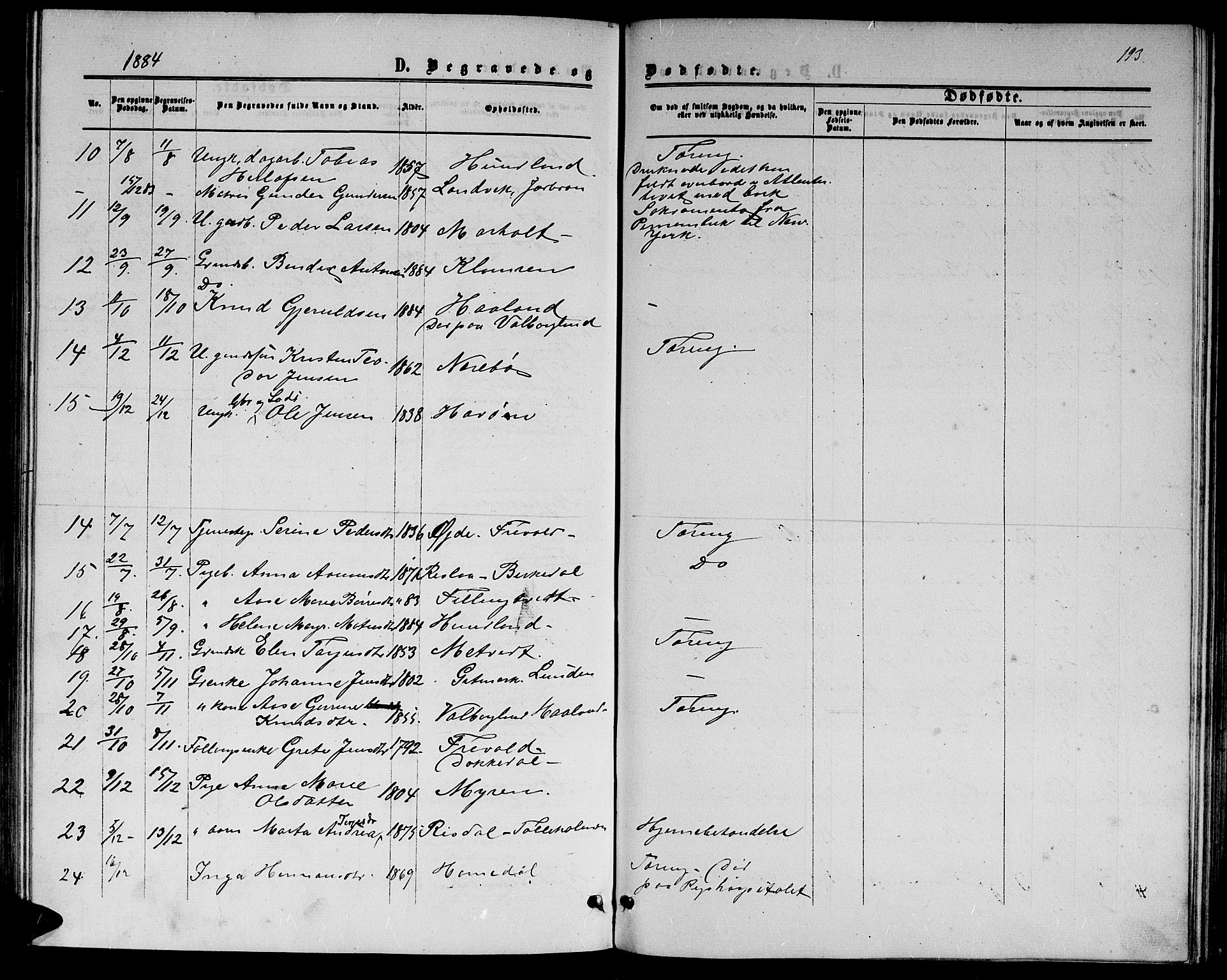 Hommedal sokneprestkontor, AV/SAK-1111-0023/F/Fb/Fbb/L0006: Parish register (copy) no. B 6, 1869-1884, p. 193