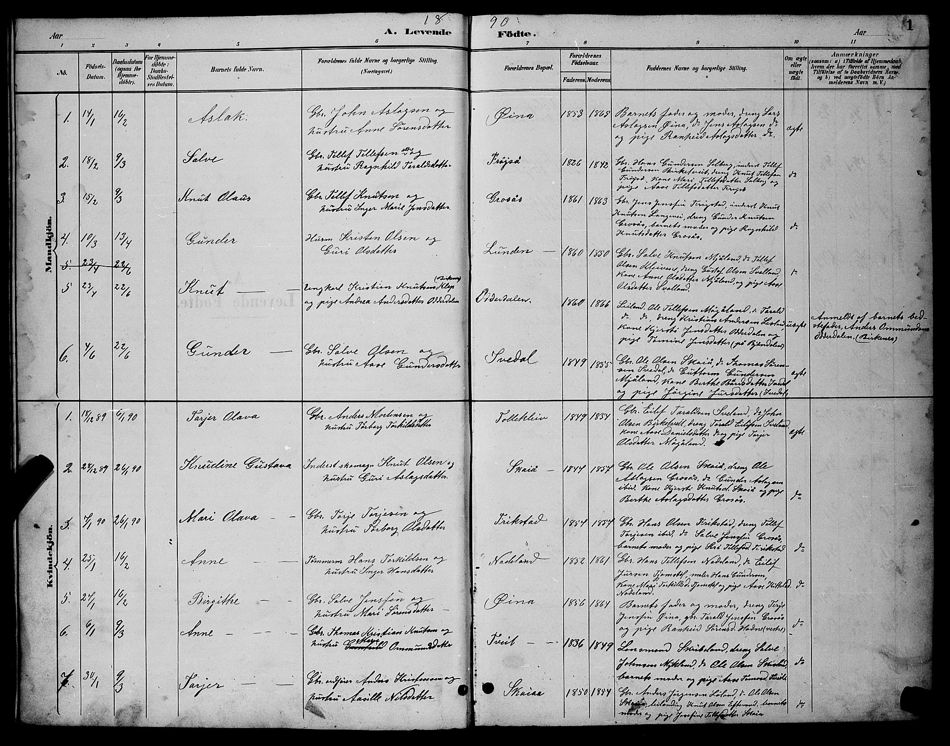 Evje sokneprestkontor, AV/SAK-1111-0008/F/Fb/Fbc/L0004: Parish register (copy) no. B 4, 1890-1900, p. 1