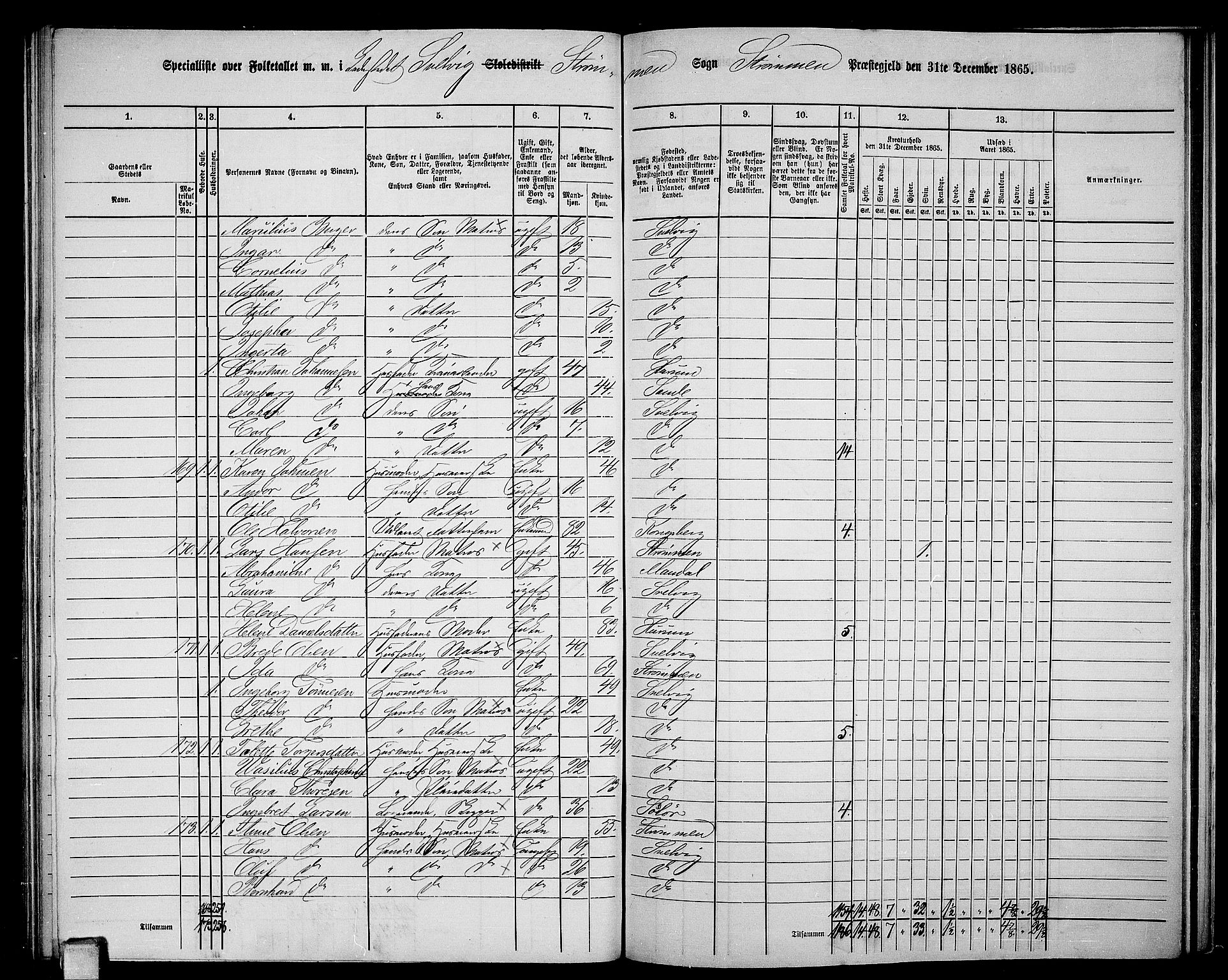 RA, 1865 census for Strømm, 1865, p. 103