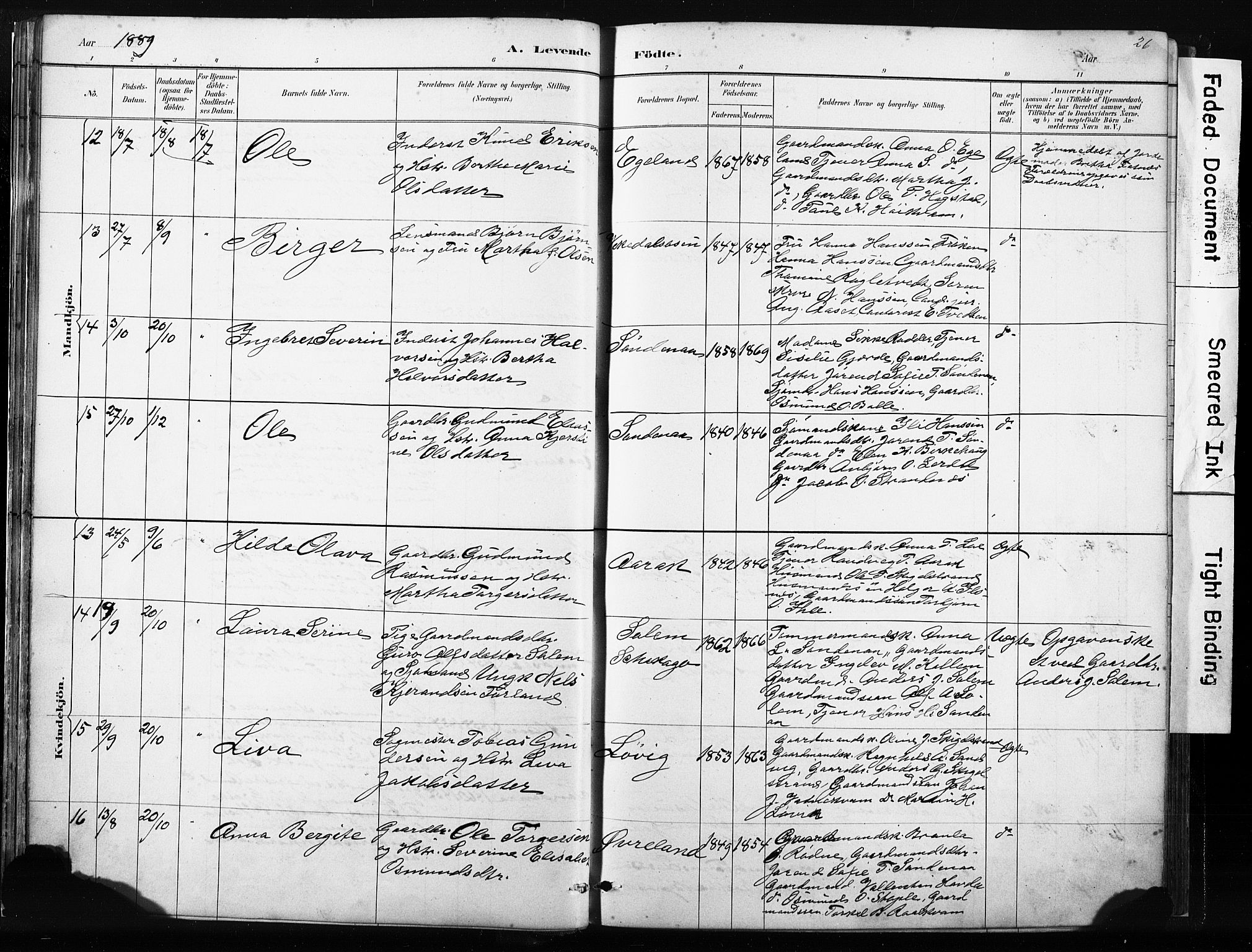 Vikedal sokneprestkontor, AV/SAST-A-101840/01/IV: Parish register (official) no. A 10, 1884-1907, p. 26