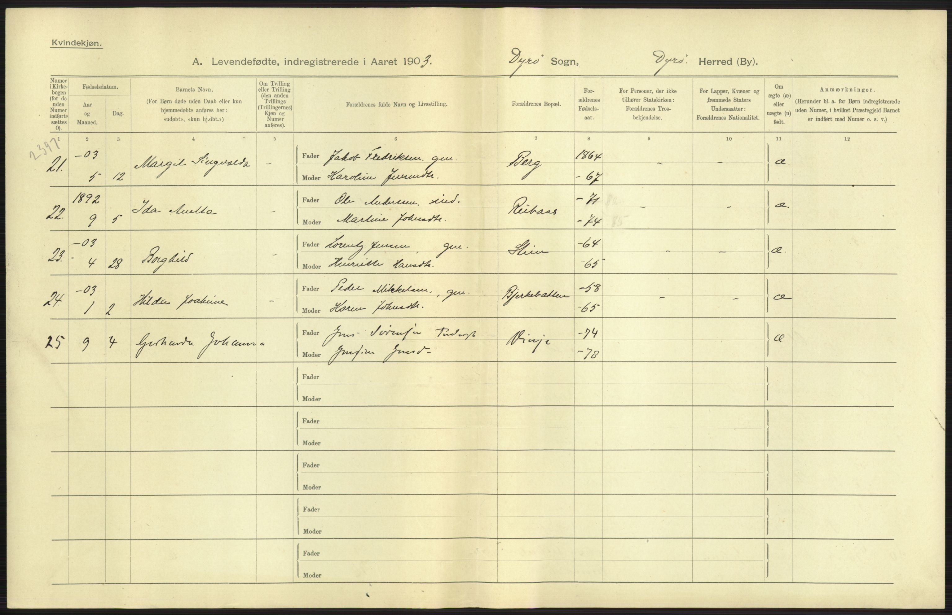 Statistisk sentralbyrå, Sosiodemografiske emner, Befolkning, AV/RA-S-2228/D/Df/Dfa/Dfaa/L0021: Tromsø amt: Fødte, gifte, døde., 1903, p. 17