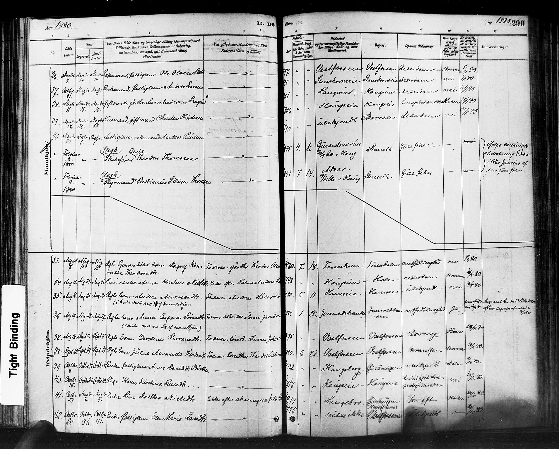 Eiker kirkebøker, AV/SAKO-A-4/F/Fb/L0001: Parish register (official) no. II 1, 1878-1888, p. 290