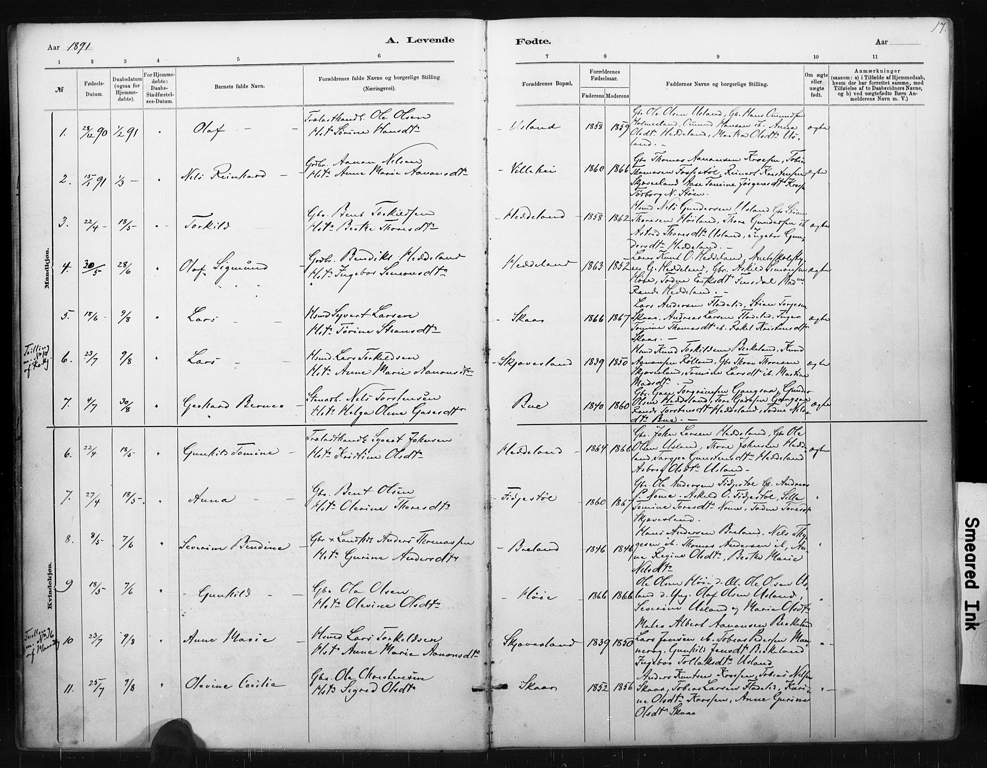 Holum sokneprestkontor, AV/SAK-1111-0022/F/Fa/Fac/L0004: Parish register (official) no. A 4, 1884-1907, p. 17