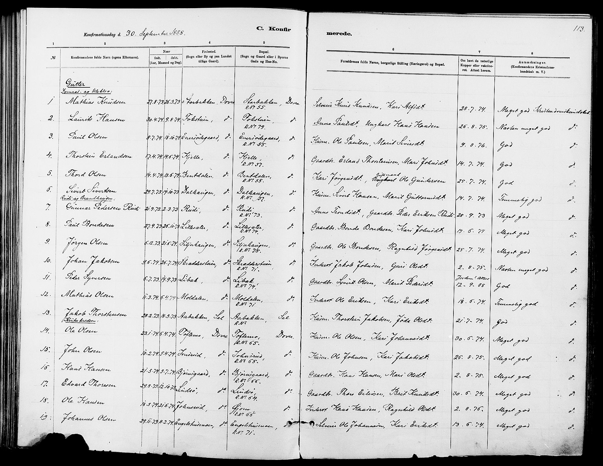 Dovre prestekontor, SAH/PREST-066/H/Ha/Haa/L0002: Parish register (official) no. 2, 1879-1890, p. 113