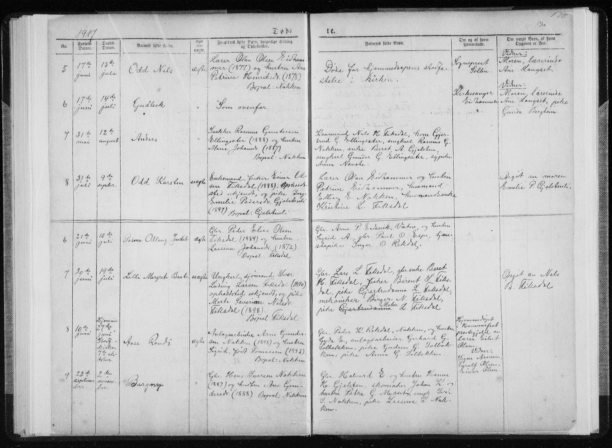 Ministerialprotokoller, klokkerbøker og fødselsregistre - Møre og Romsdal, SAT/A-1454/540/L0541: Parish register (copy) no. 540C01, 1867-1920, p. 136