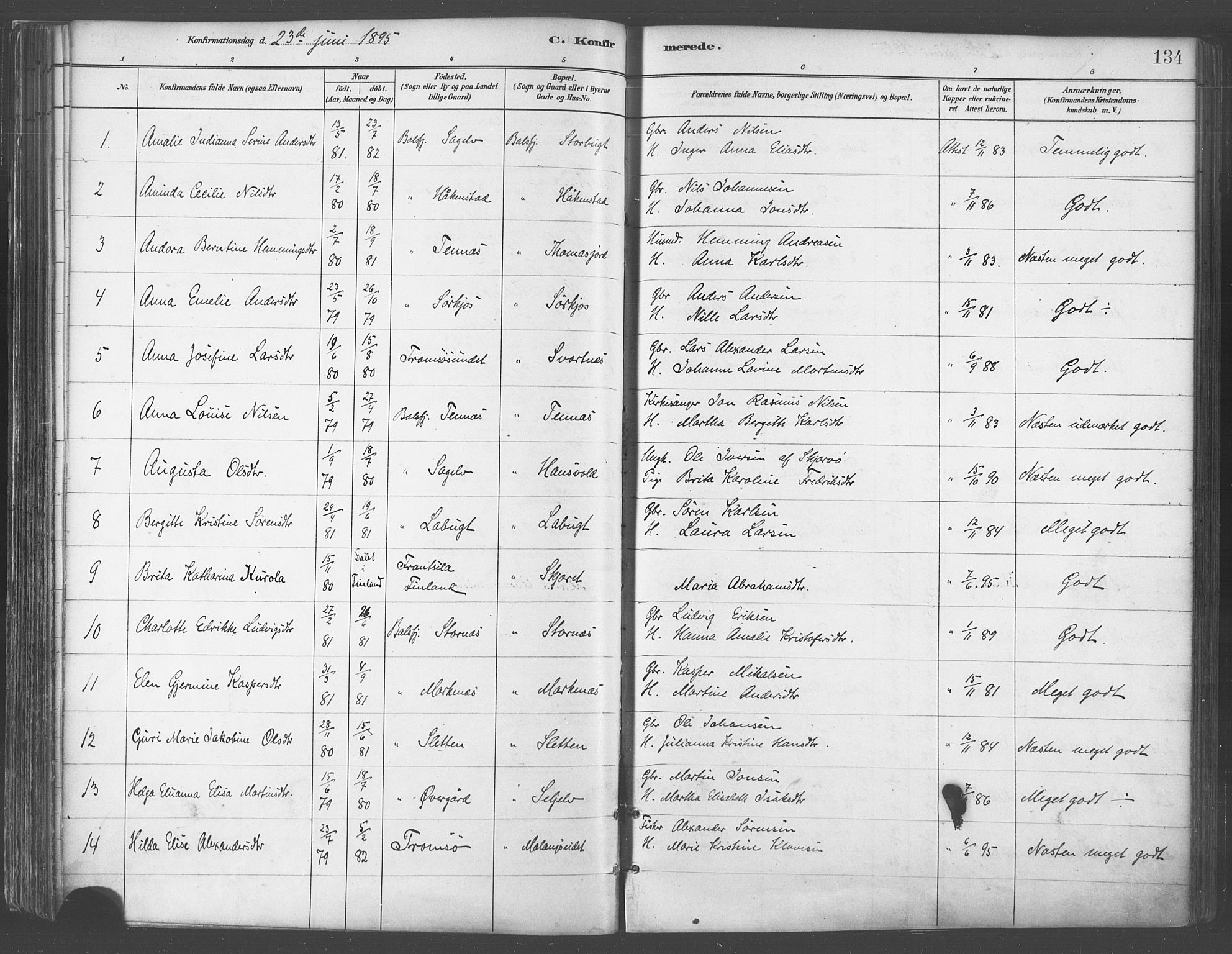 Balsfjord sokneprestembete, AV/SATØ-S-1303/G/Gaa/L0005kirke: Parish register (official) no. 5, 1884-1897, p. 134
