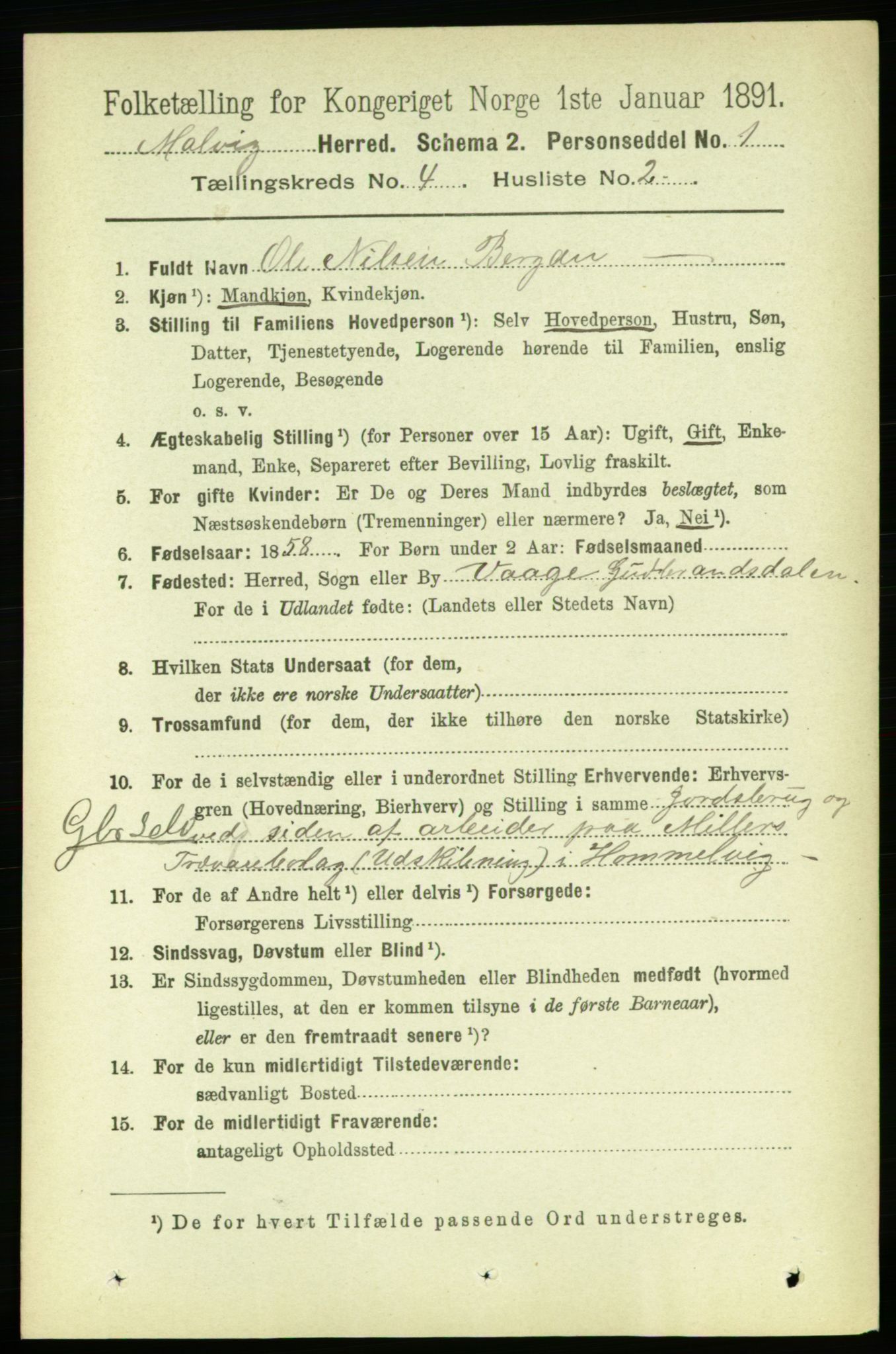 RA, 1891 census for 1663 Malvik, 1891, p. 2696