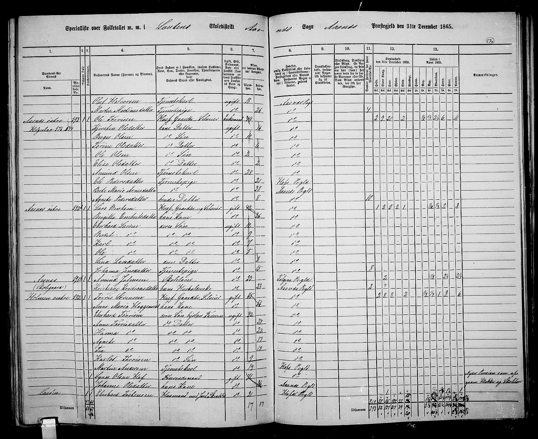 RA, 1865 census for Åsnes, 1865, p. 158