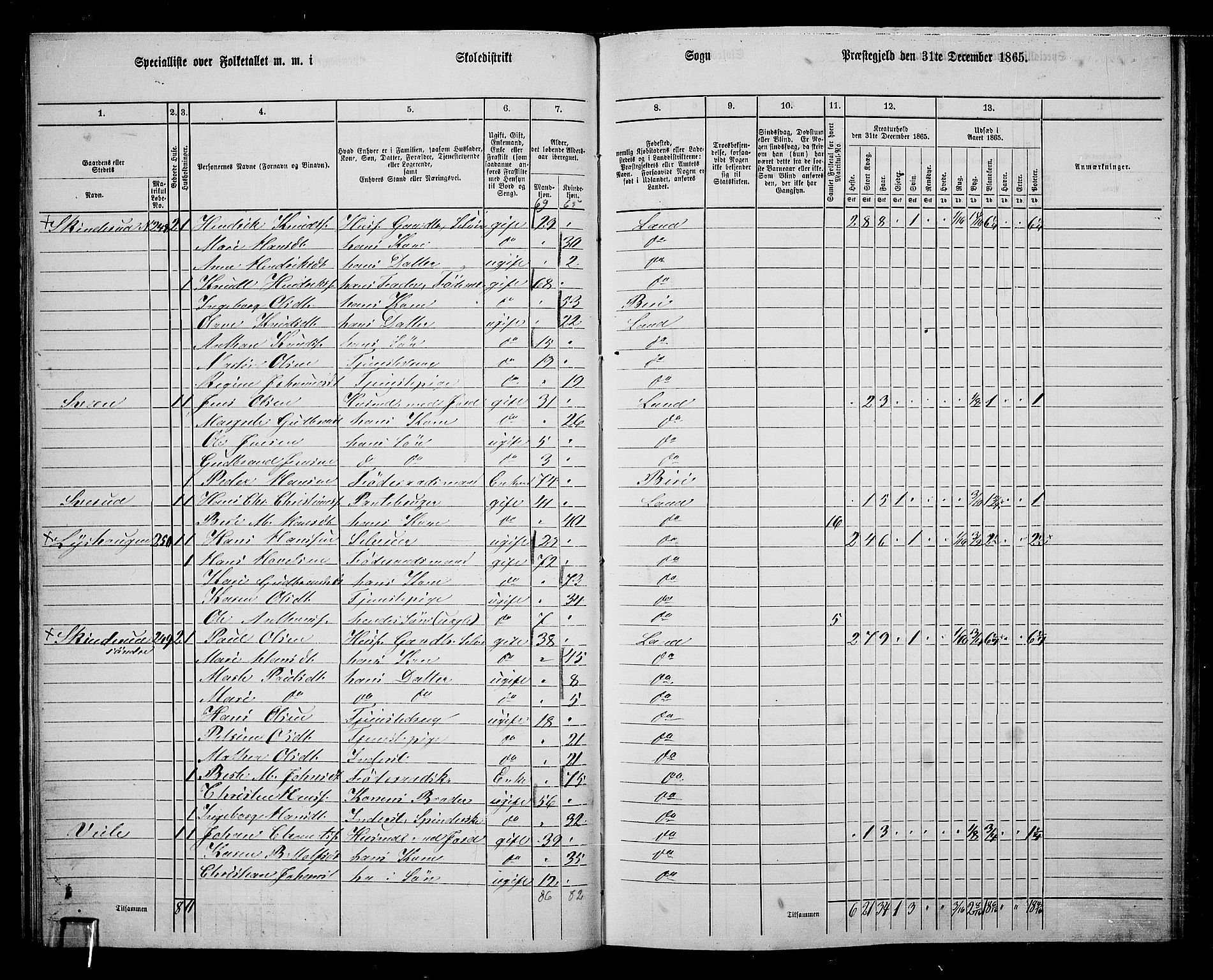 RA, 1865 census for Land, 1865, p. 261