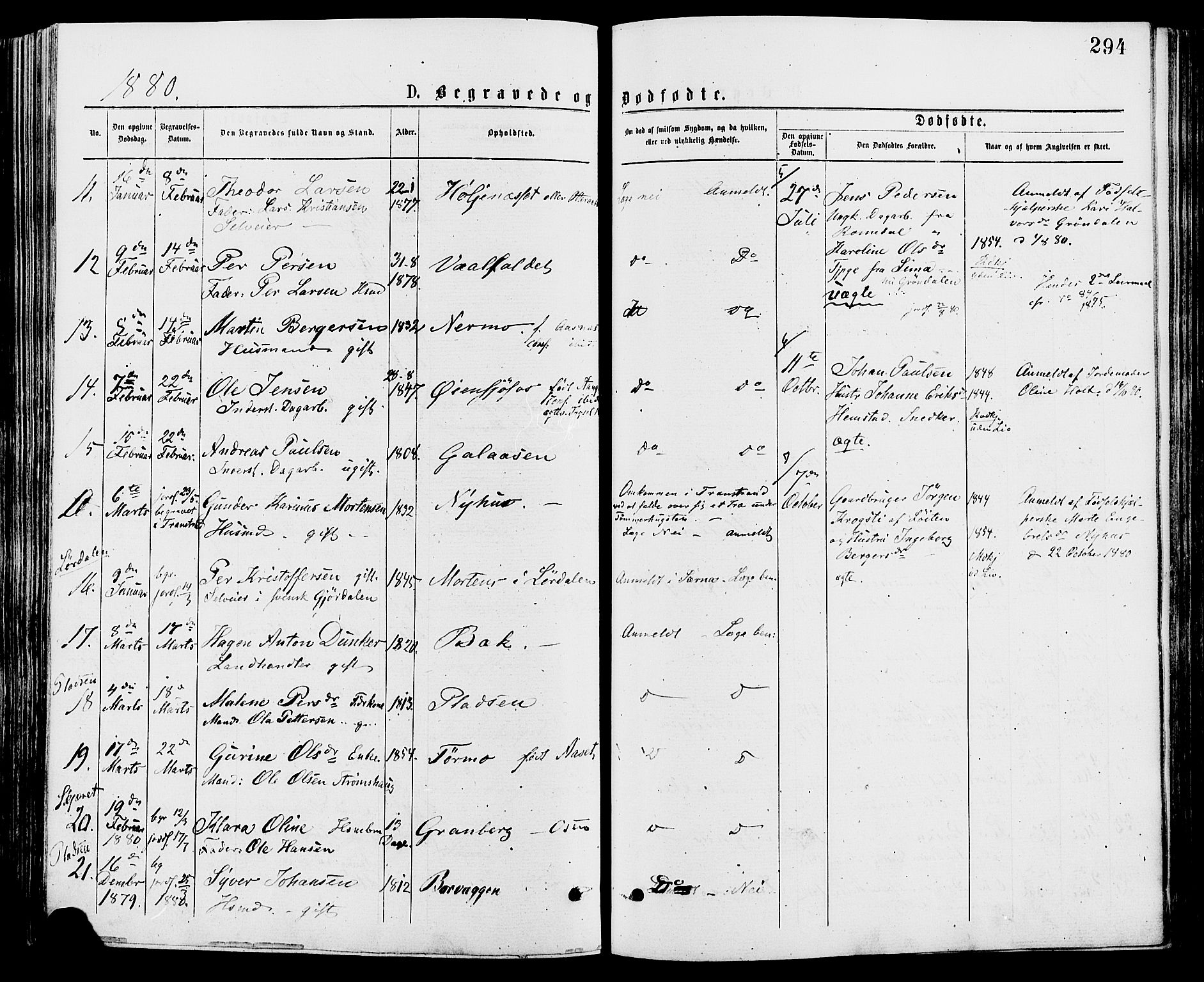 Trysil prestekontor, AV/SAH-PREST-046/H/Ha/Haa/L0007: Parish register (official) no. 7, 1874-1880, p. 294