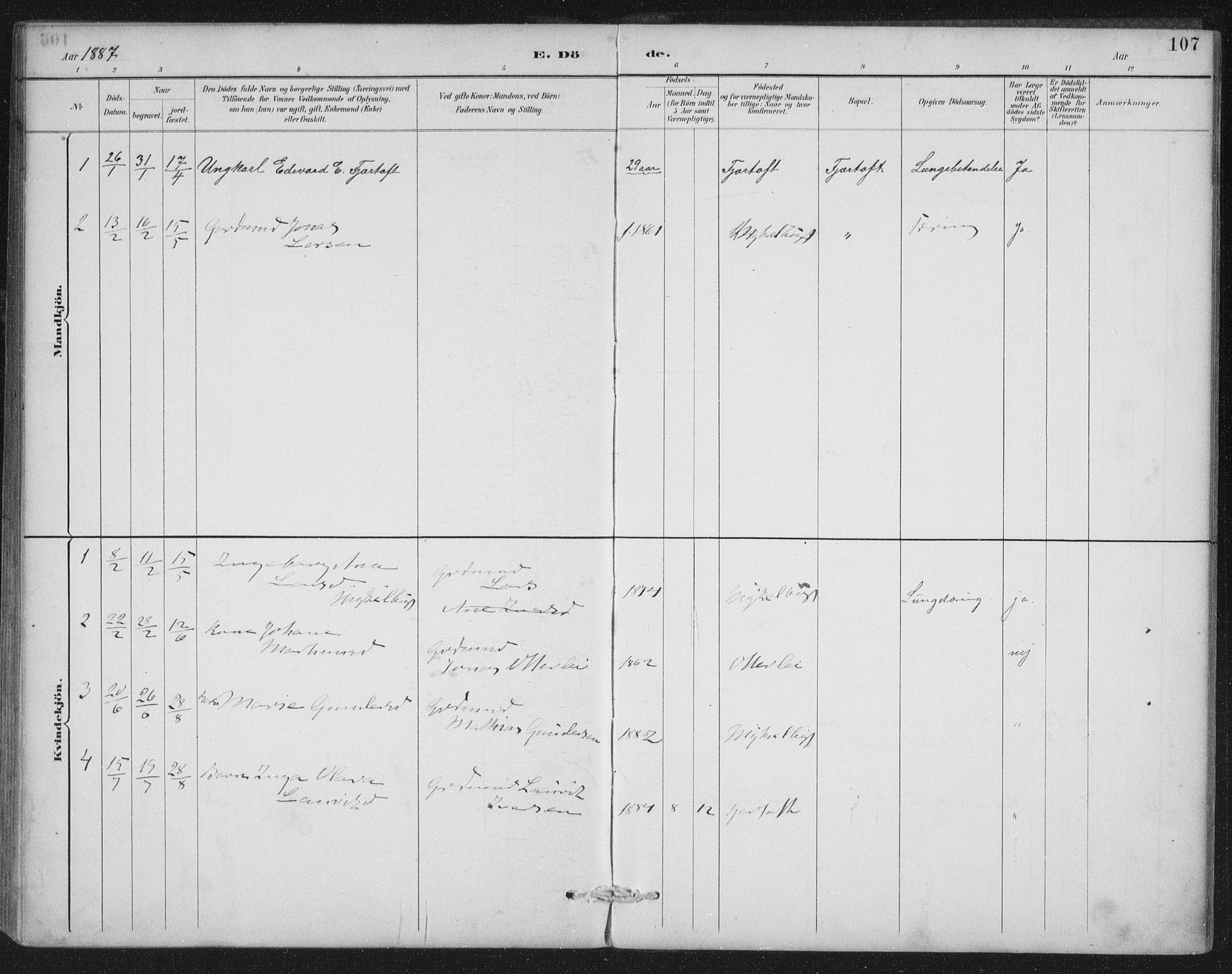 Ministerialprotokoller, klokkerbøker og fødselsregistre - Møre og Romsdal, SAT/A-1454/538/L0522: Parish register (official) no. 538A01, 1884-1913, p. 107