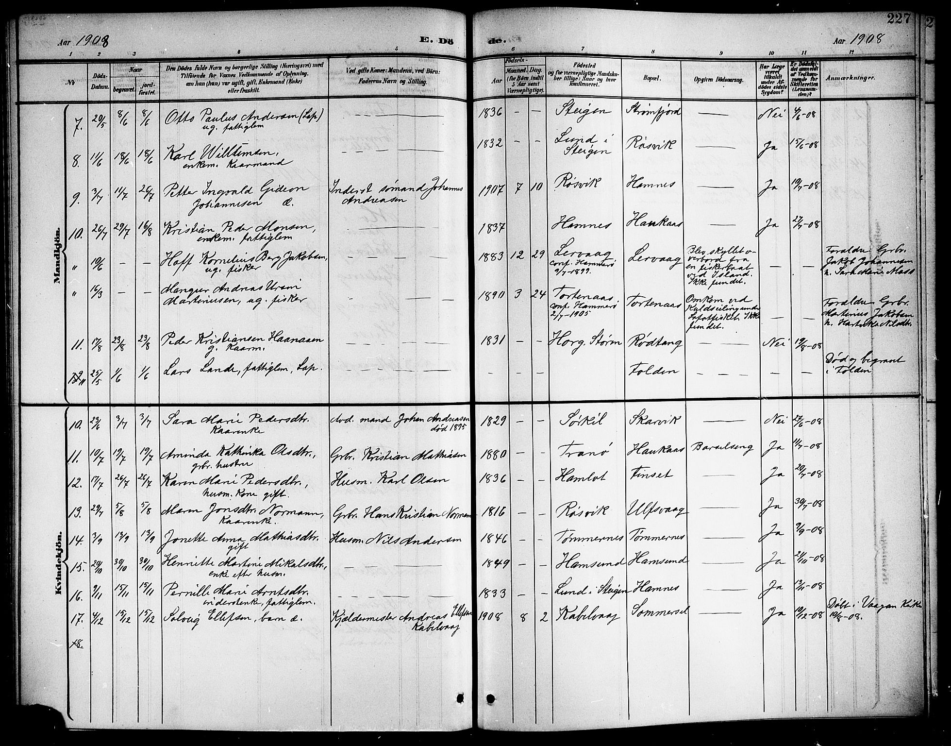 Ministerialprotokoller, klokkerbøker og fødselsregistre - Nordland, AV/SAT-A-1459/859/L0860: Parish register (copy) no. 859C06, 1899-1909, p. 227