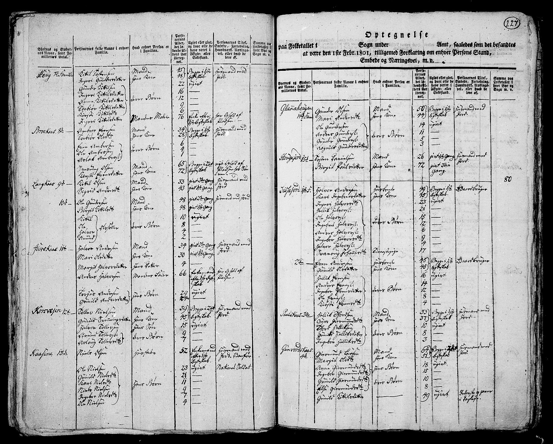 RA, 1801 census for 0821P Bø, 1801, p. 226b-227a