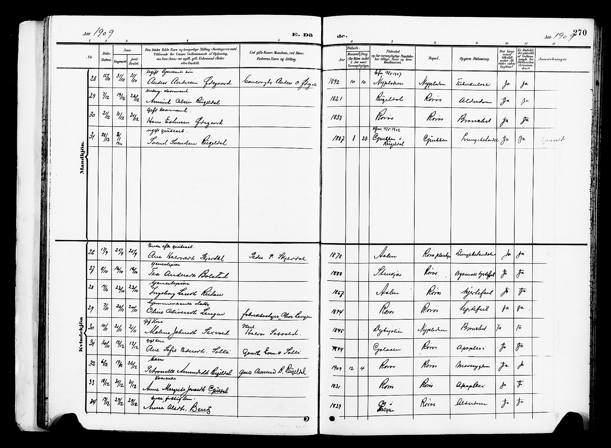 Ministerialprotokoller, klokkerbøker og fødselsregistre - Sør-Trøndelag, SAT/A-1456/681/L0942: Parish register (copy) no. 681C06, 1906-1925, p. 270