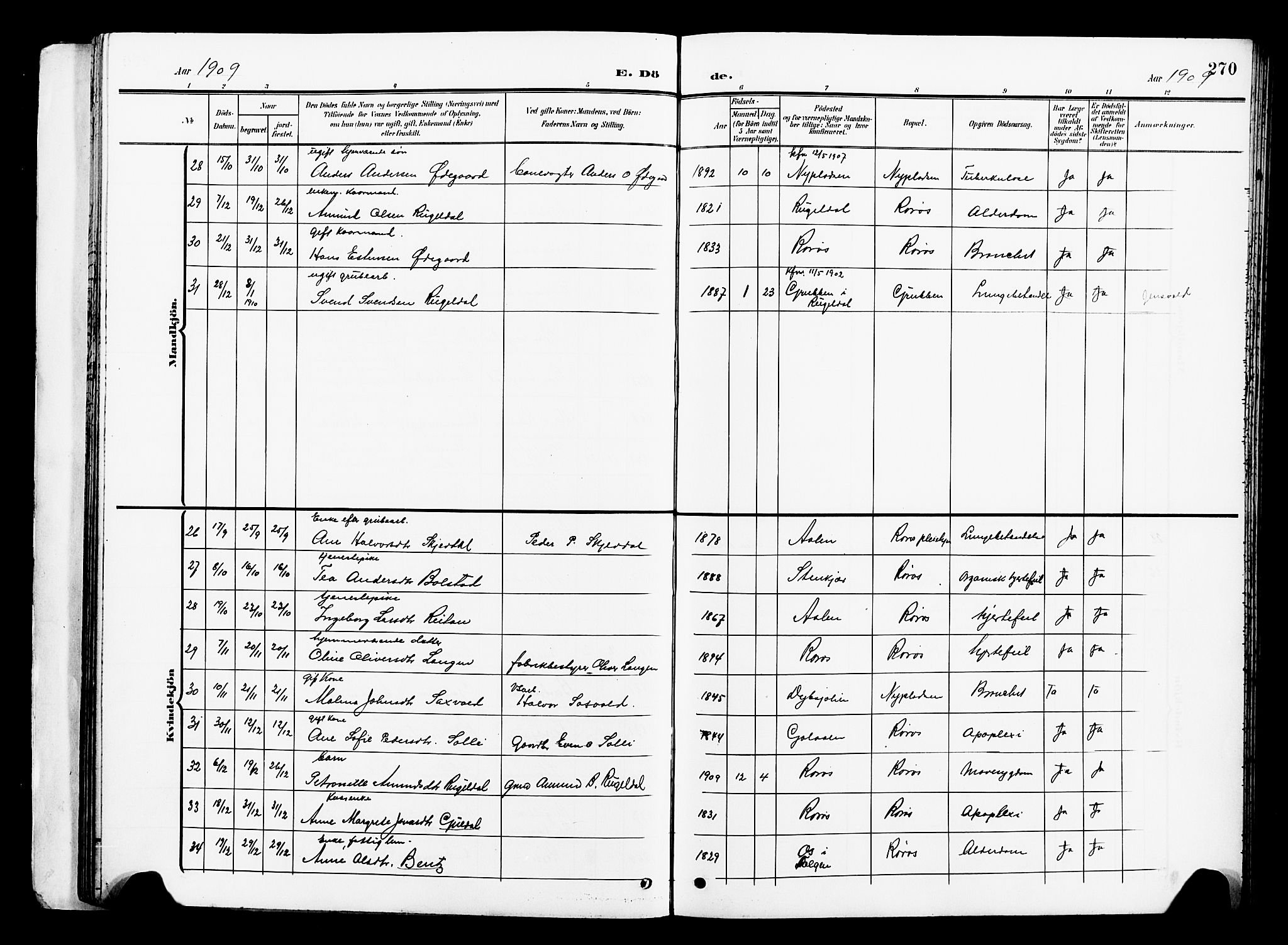 Ministerialprotokoller, klokkerbøker og fødselsregistre - Sør-Trøndelag, AV/SAT-A-1456/681/L0942: Parish register (copy) no. 681C06, 1906-1925, p. 270