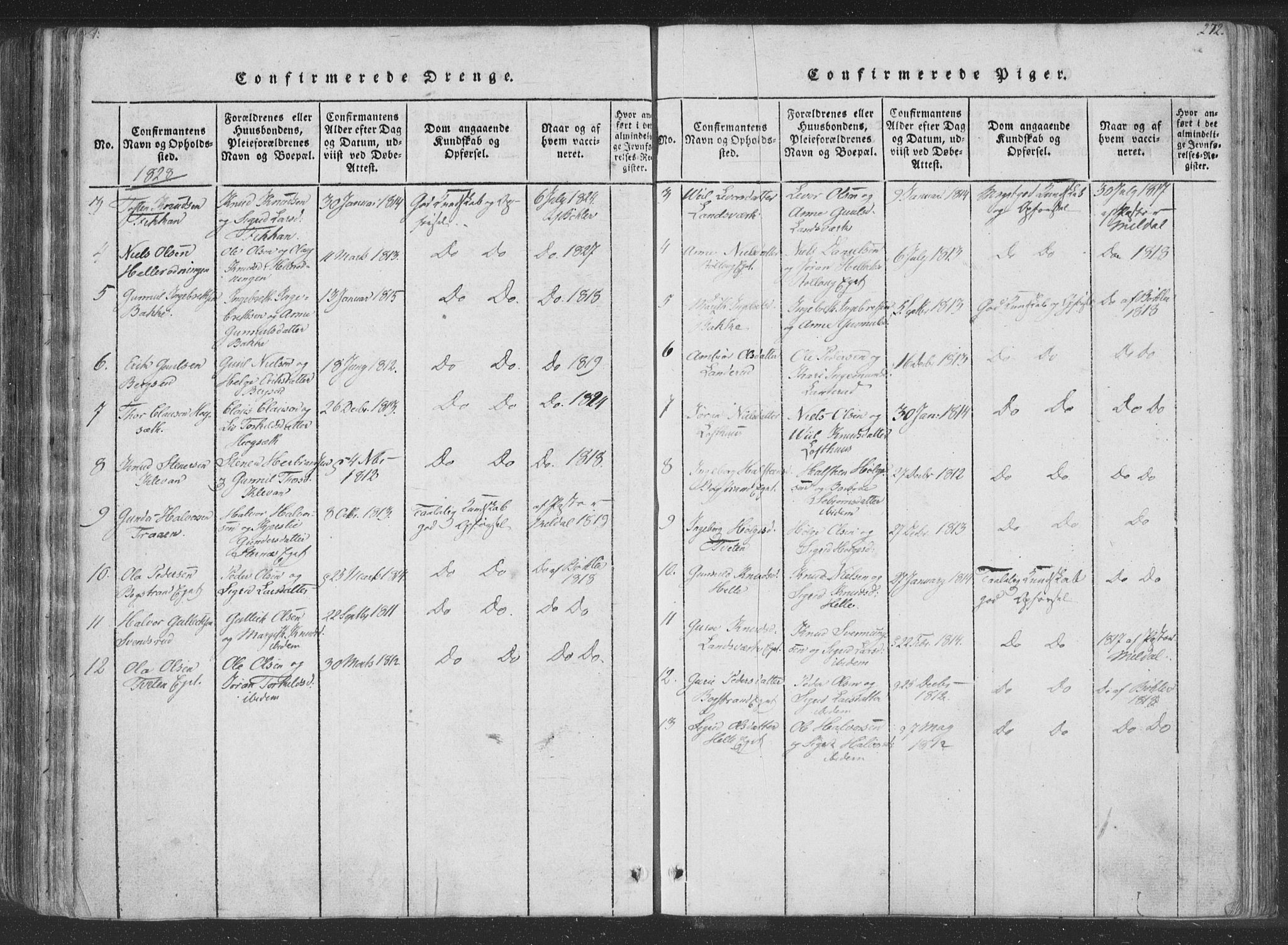 Rollag kirkebøker, SAKO/A-240/F/Fa/L0006: Parish register (official) no. I 6, 1814-1828, p. 272