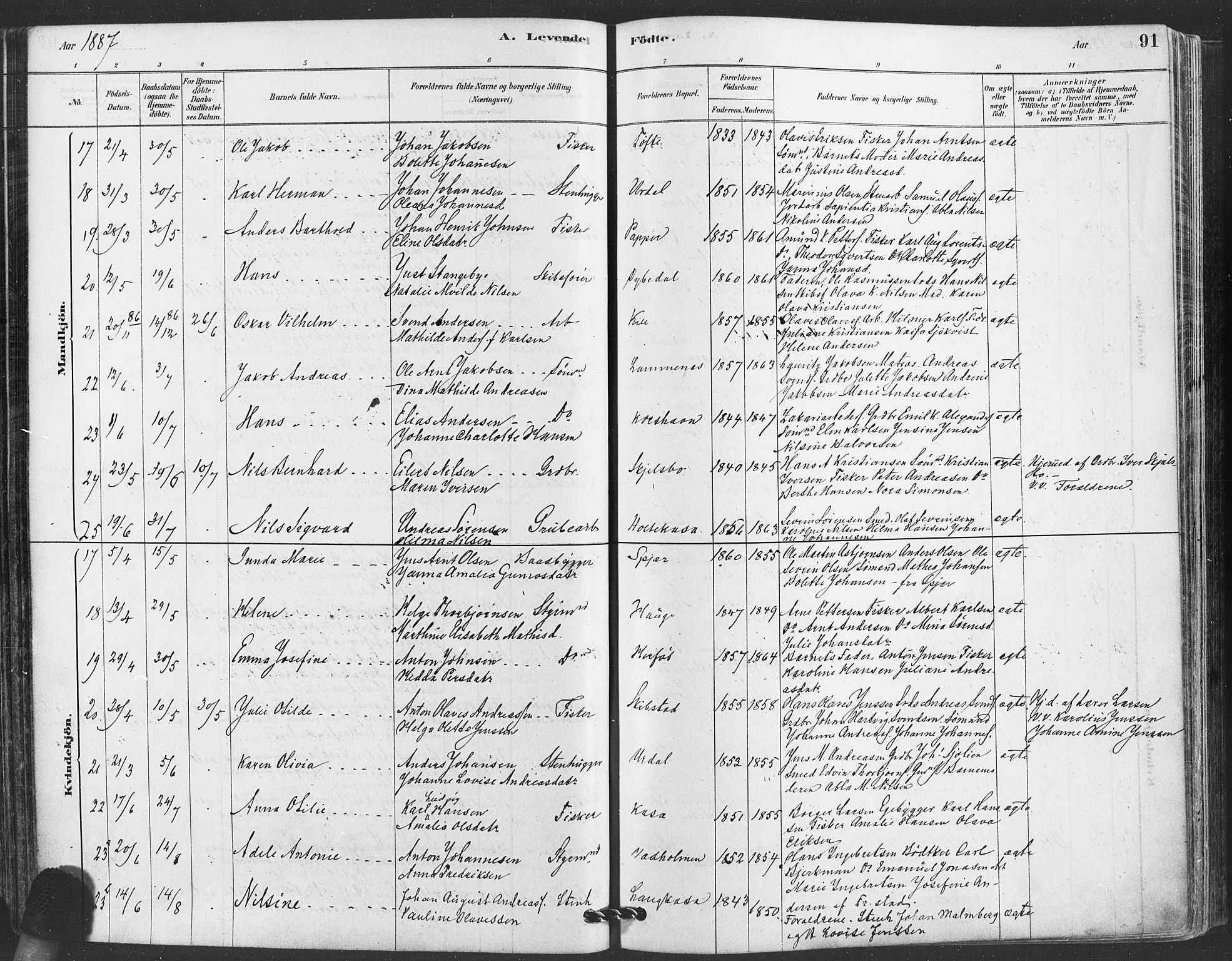 Hvaler prestekontor Kirkebøker, AV/SAO-A-2001/F/Fa/L0008: Parish register (official) no. I 8, 1878-1895, p. 91