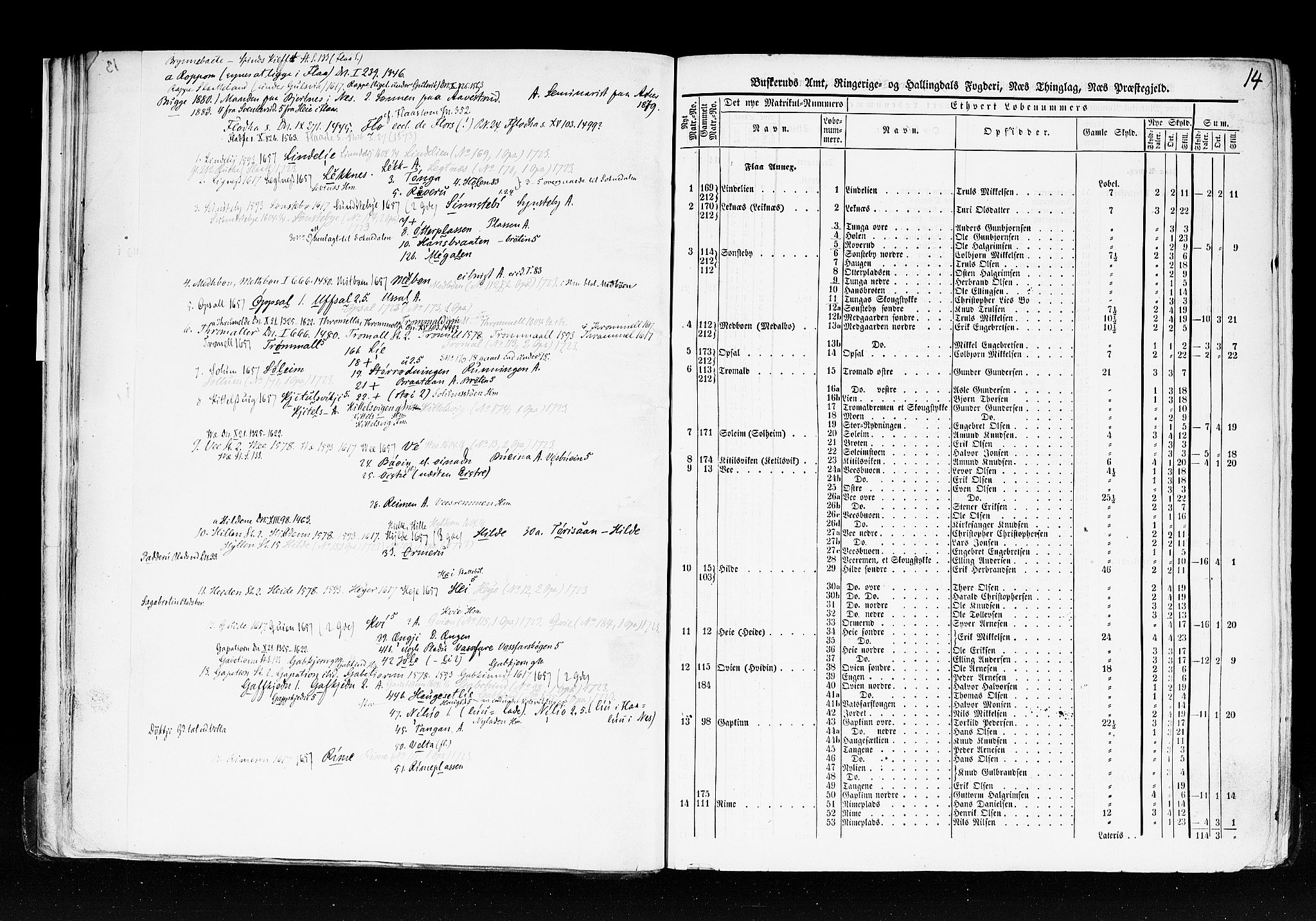 Rygh, AV/RA-PA-0034/F/Fb/L0005: Matrikkelen for 1838 - Buskerud amt (Buskerud fylke), 1838, p. 14a