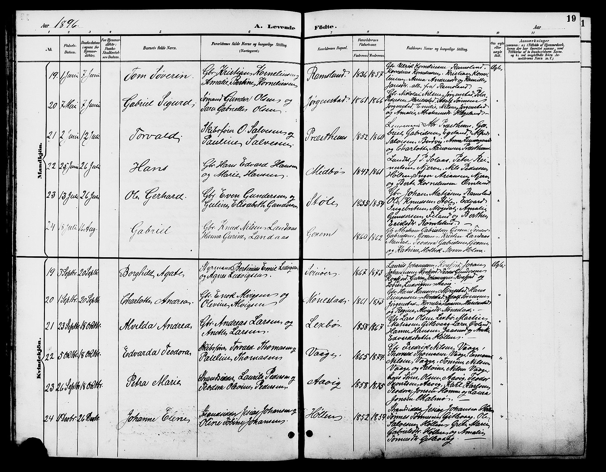 Sør-Audnedal sokneprestkontor, AV/SAK-1111-0039/F/Fb/Fba/L0004: Parish register (copy) no. B 4, 1893-1909, p. 19