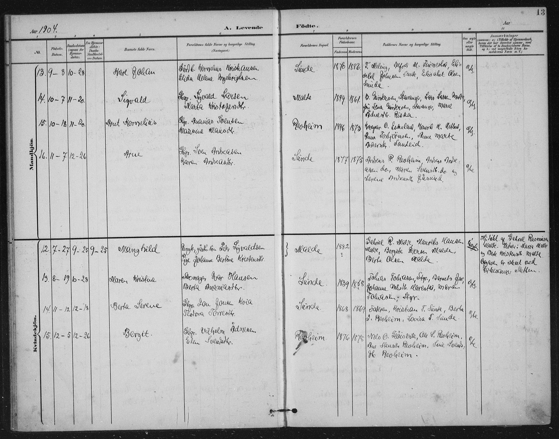 Håland sokneprestkontor, AV/SAST-A-101802/002/B/L0001: Parish register (official) no. A 13, 1901-1923, p. 13