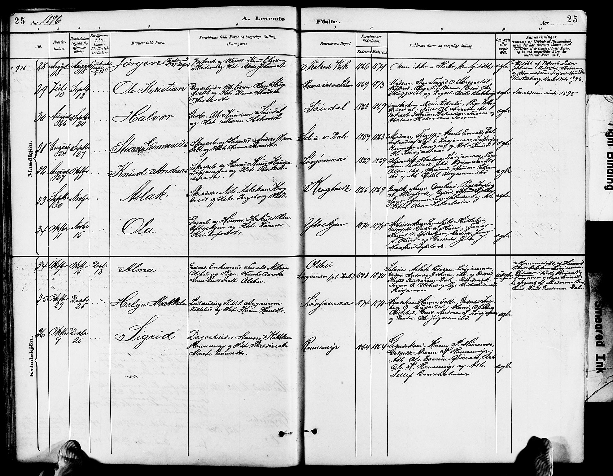 Froland sokneprestkontor, AV/SAK-1111-0013/F/Fb/L0010: Parish register (copy) no. B 10, 1893-1920, p. 25