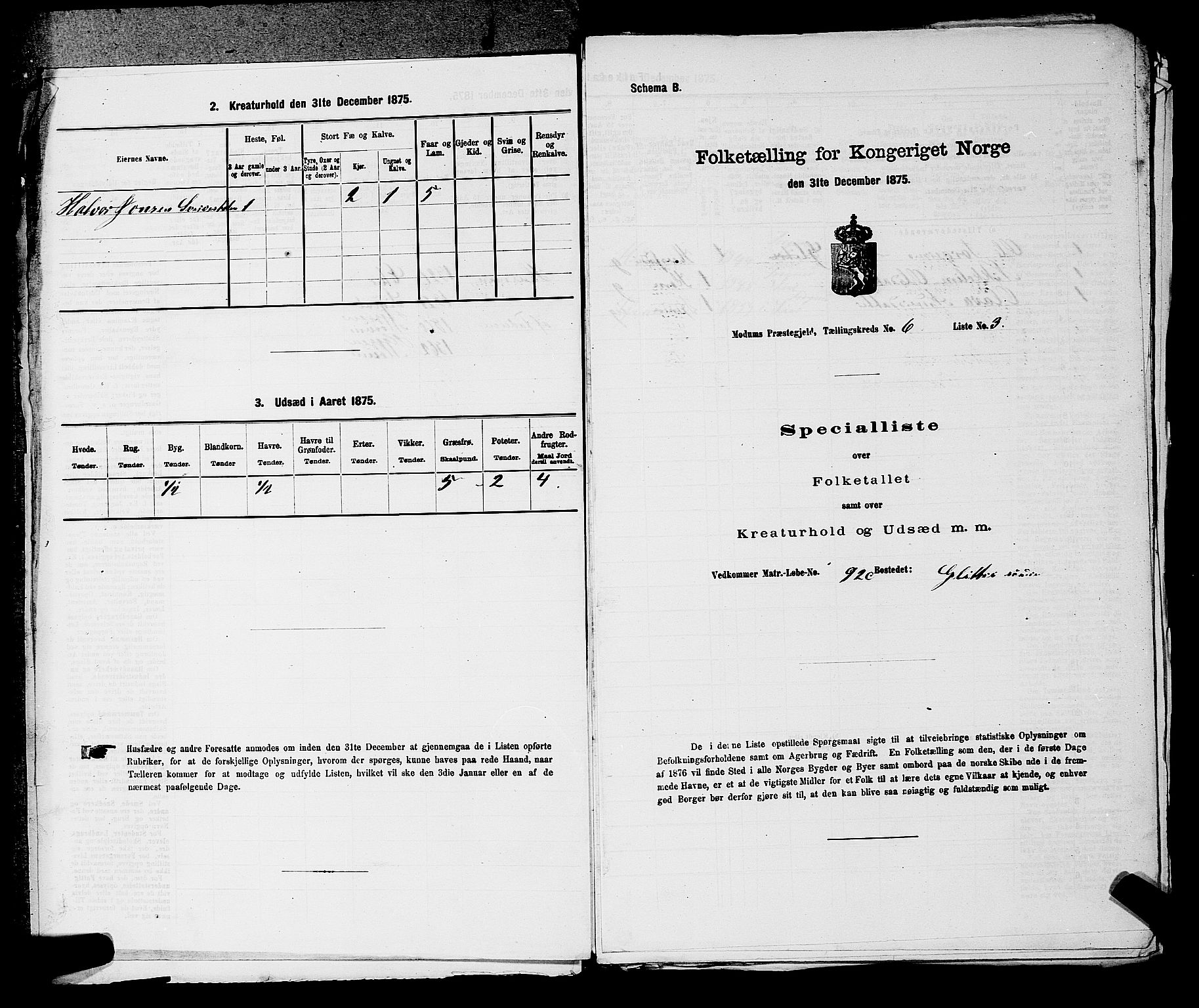 SAKO, 1875 census for 0623P Modum, 1875, p. 710