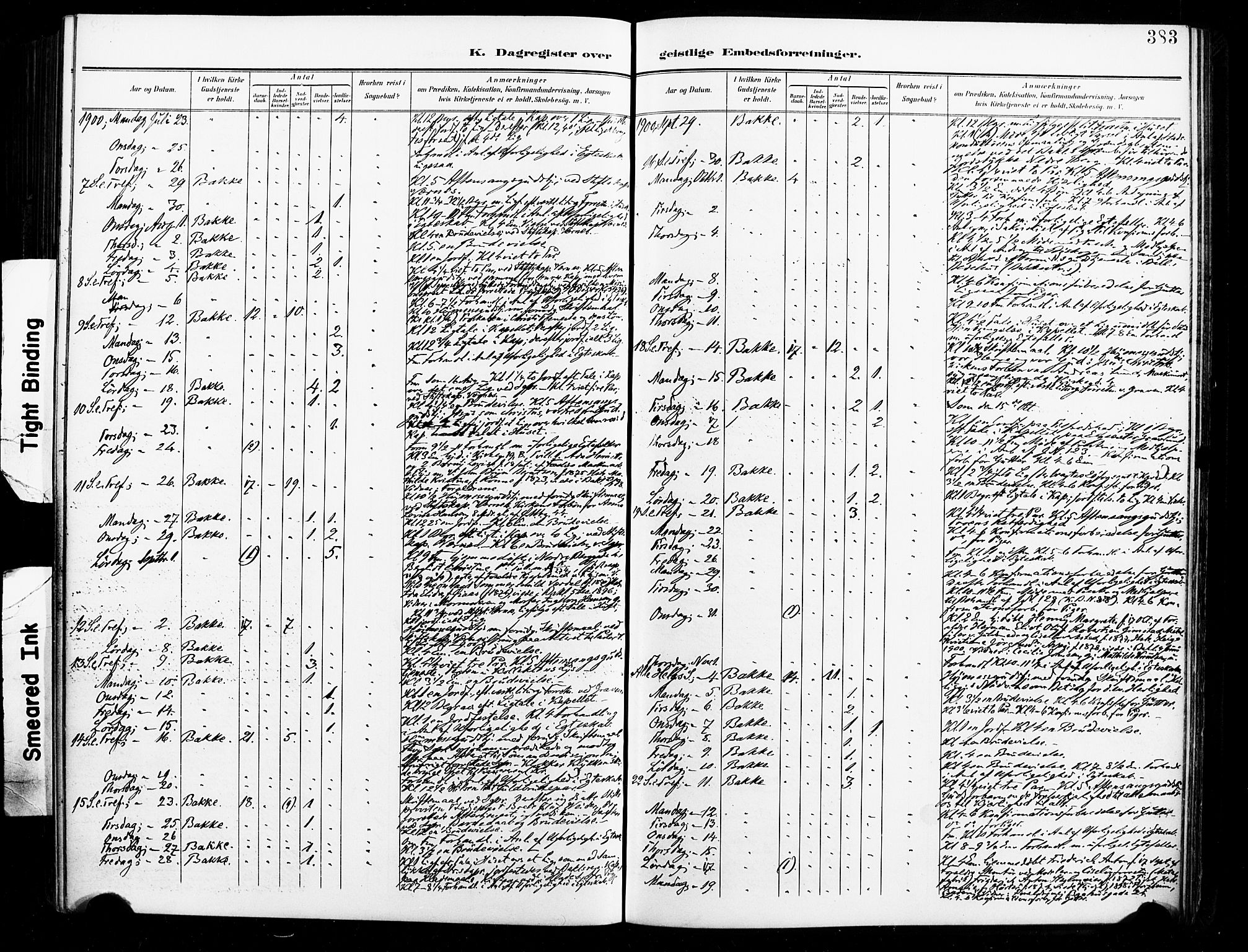 Ministerialprotokoller, klokkerbøker og fødselsregistre - Sør-Trøndelag, AV/SAT-A-1456/604/L0198: Parish register (official) no. 604A19, 1893-1900, p. 383