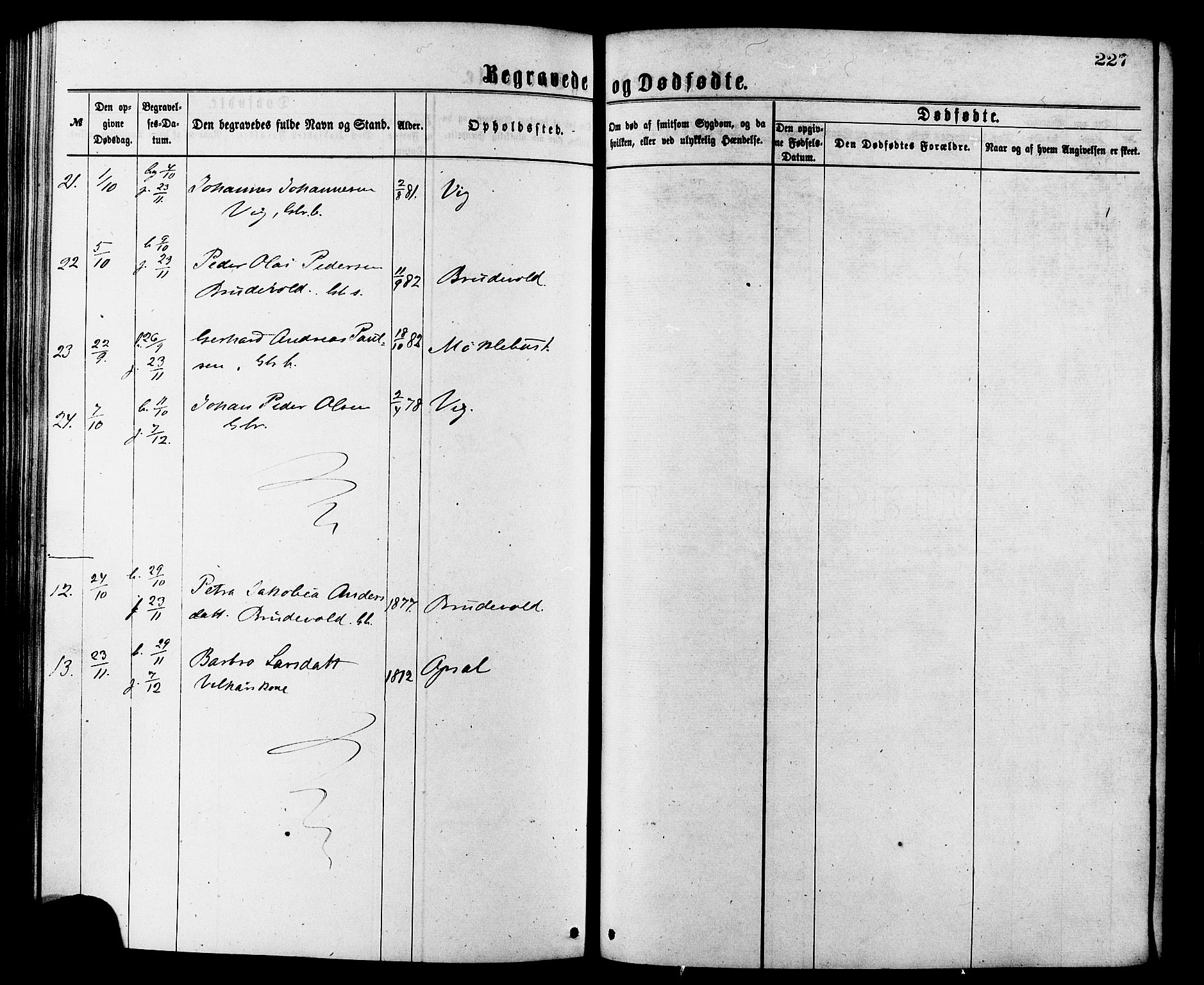 Ministerialprotokoller, klokkerbøker og fødselsregistre - Møre og Romsdal, AV/SAT-A-1454/502/L0024: Parish register (official) no. 502A02, 1873-1884, p. 227