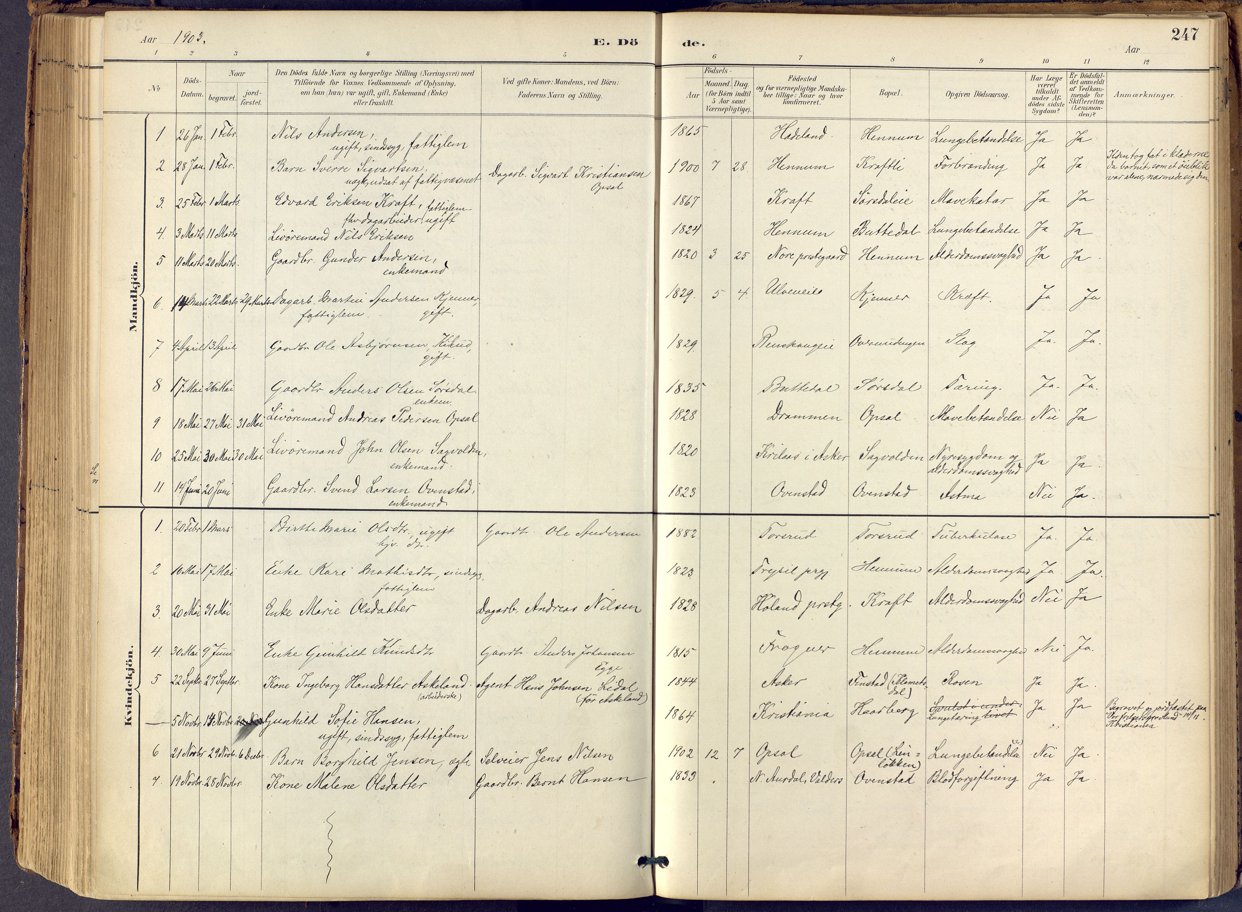 Lier kirkebøker, SAKO/A-230/F/Fb/L0001: Parish register (official) no. II 1, 1883-1910, p. 247