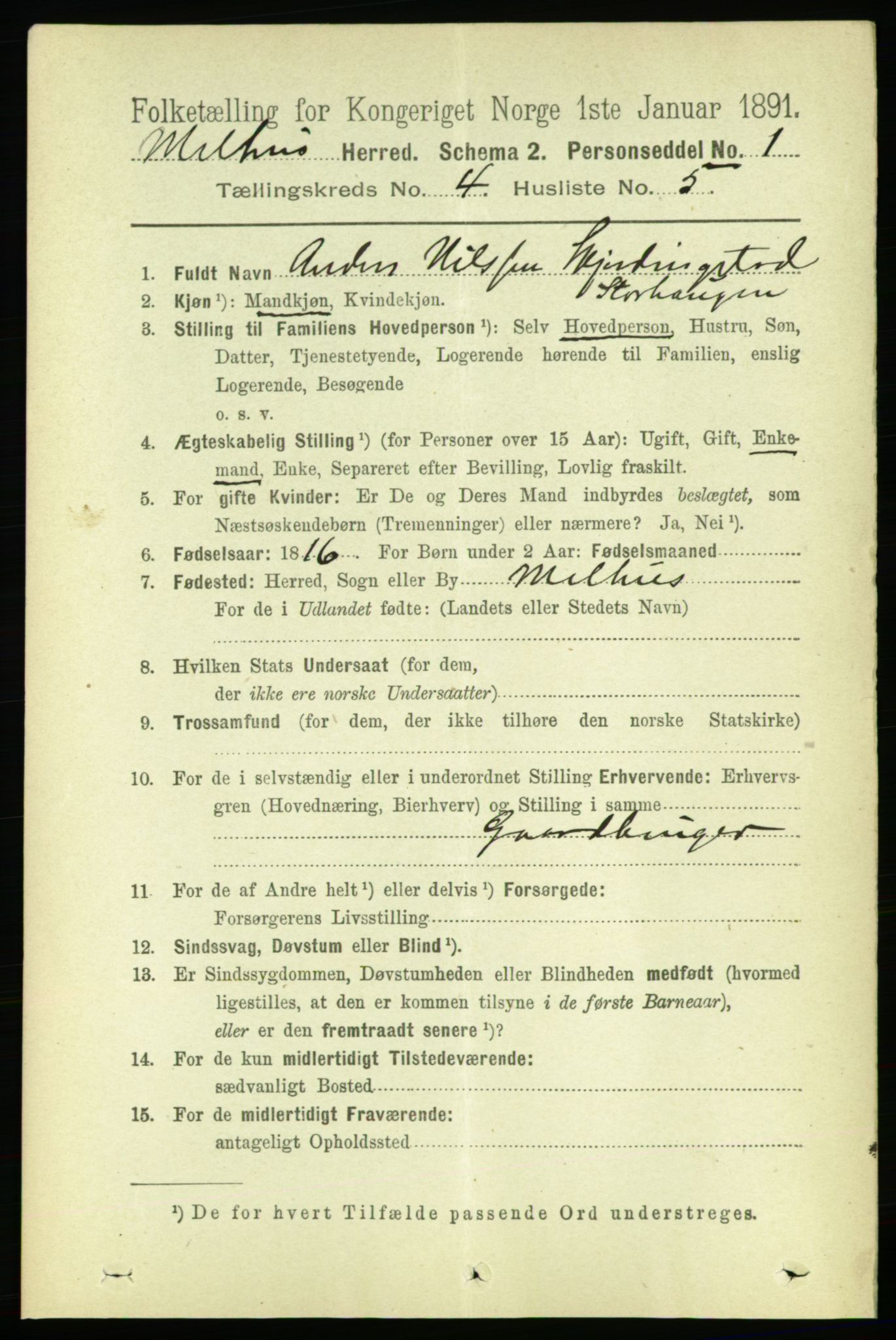 RA, 1891 census for 1653 Melhus, 1891, p. 1991