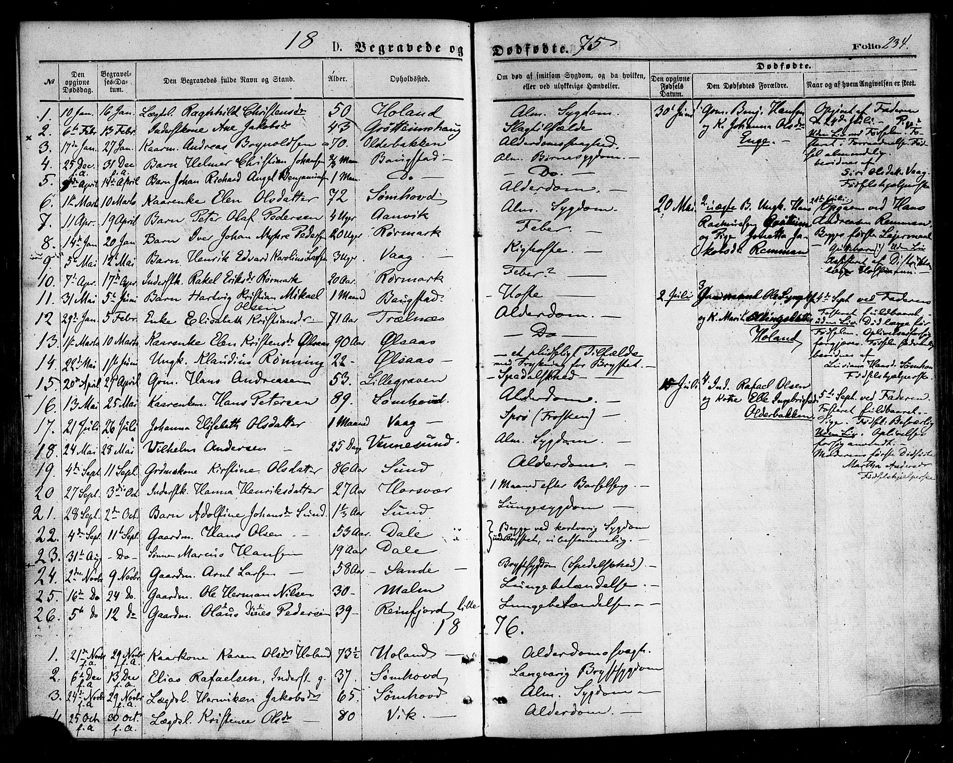 Ministerialprotokoller, klokkerbøker og fødselsregistre - Nordland, SAT/A-1459/812/L0177: Parish register (official) no. 812A06, 1875-1885, p. 234