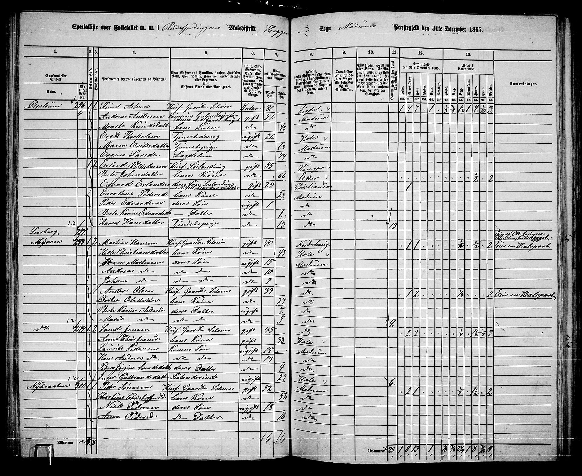 RA, 1865 census for Modum, 1865, p. 105