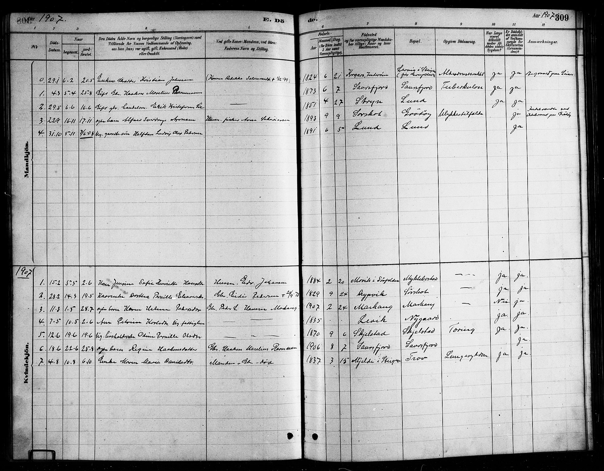 Ministerialprotokoller, klokkerbøker og fødselsregistre - Nordland, SAT/A-1459/857/L0828: Parish register (copy) no. 857C03, 1879-1908, p. 309