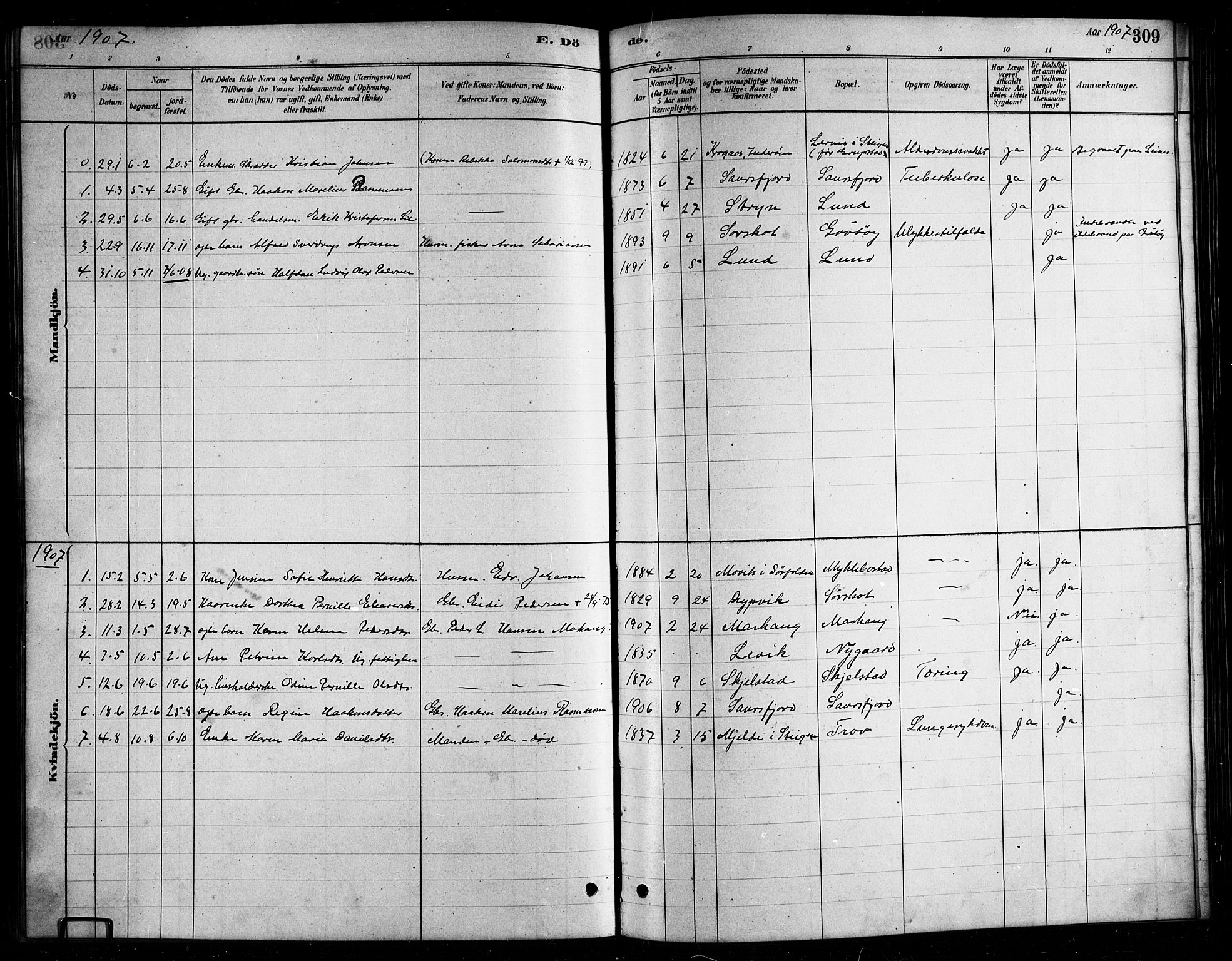 Ministerialprotokoller, klokkerbøker og fødselsregistre - Nordland, AV/SAT-A-1459/857/L0828: Parish register (copy) no. 857C03, 1879-1908, p. 309