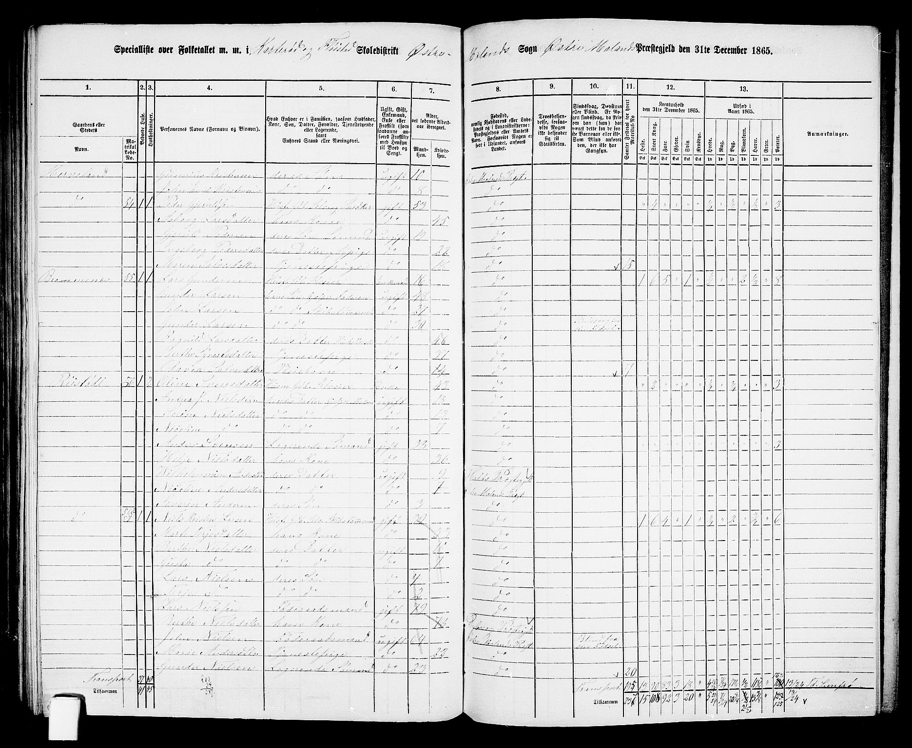 RA, 1865 census for Austre Moland, 1865, p. 301