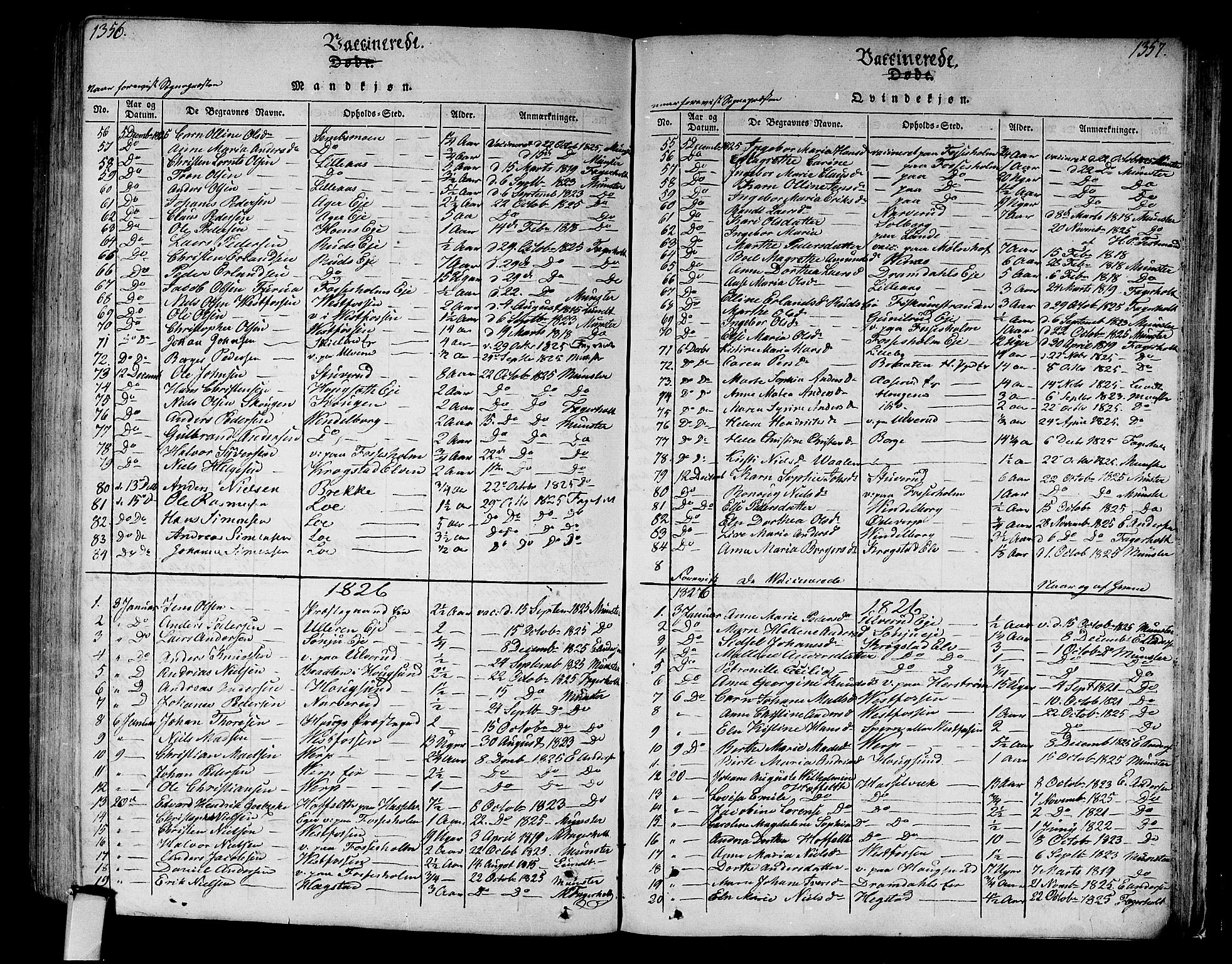 Eiker kirkebøker, SAKO/A-4/F/Fa/L0010: Parish register (official) no. I 10, 1806-1815, p. 1356-1357