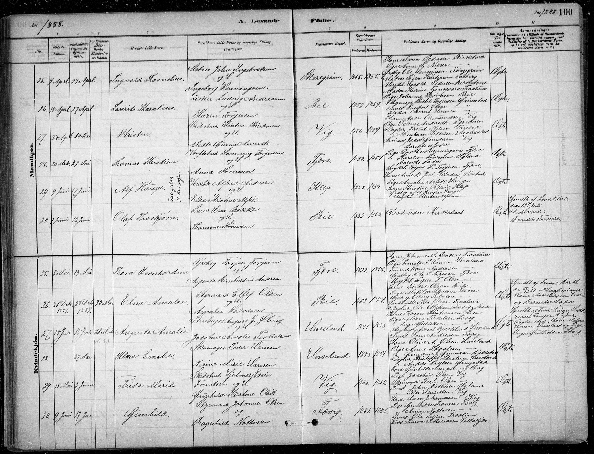 Fjære sokneprestkontor, AV/SAK-1111-0011/F/Fb/L0011: Parish register (copy) no. B 11, 1881-1905, p. 100
