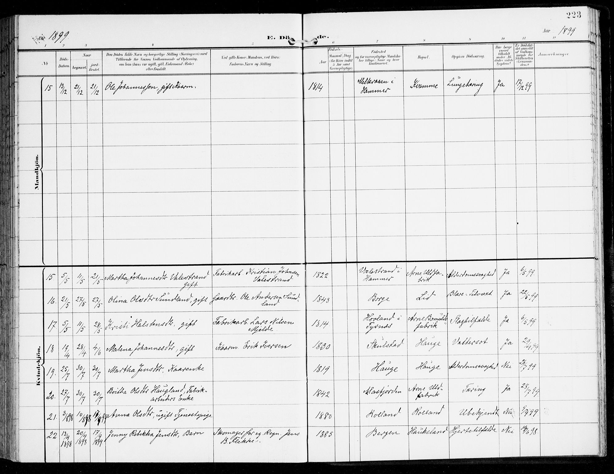 Haus sokneprestembete, AV/SAB-A-75601/H/Haa: Parish register (official) no. D 2, 1899-1912, p. 223