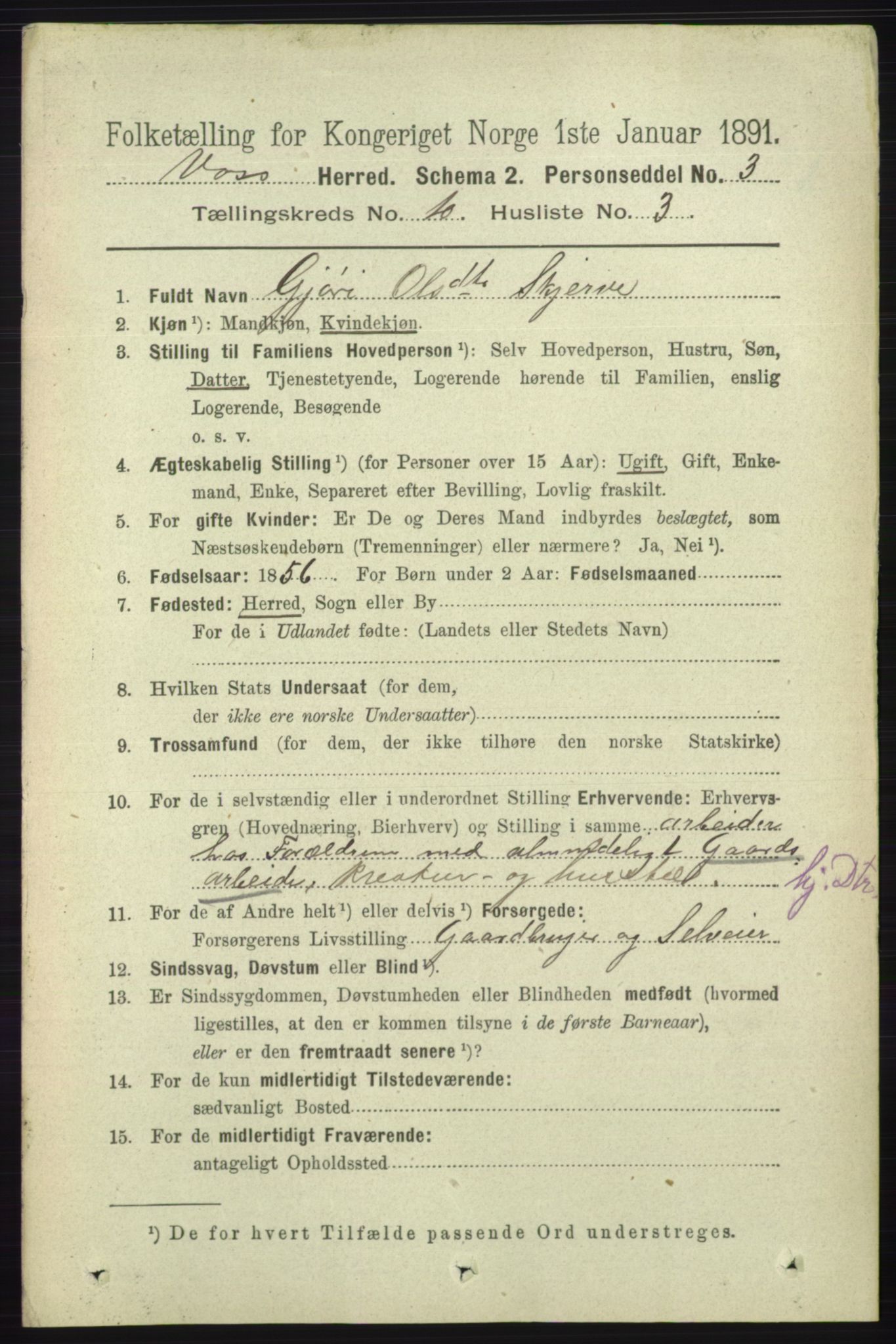 RA, 1891 census for 1235 Voss, 1891, p. 5219