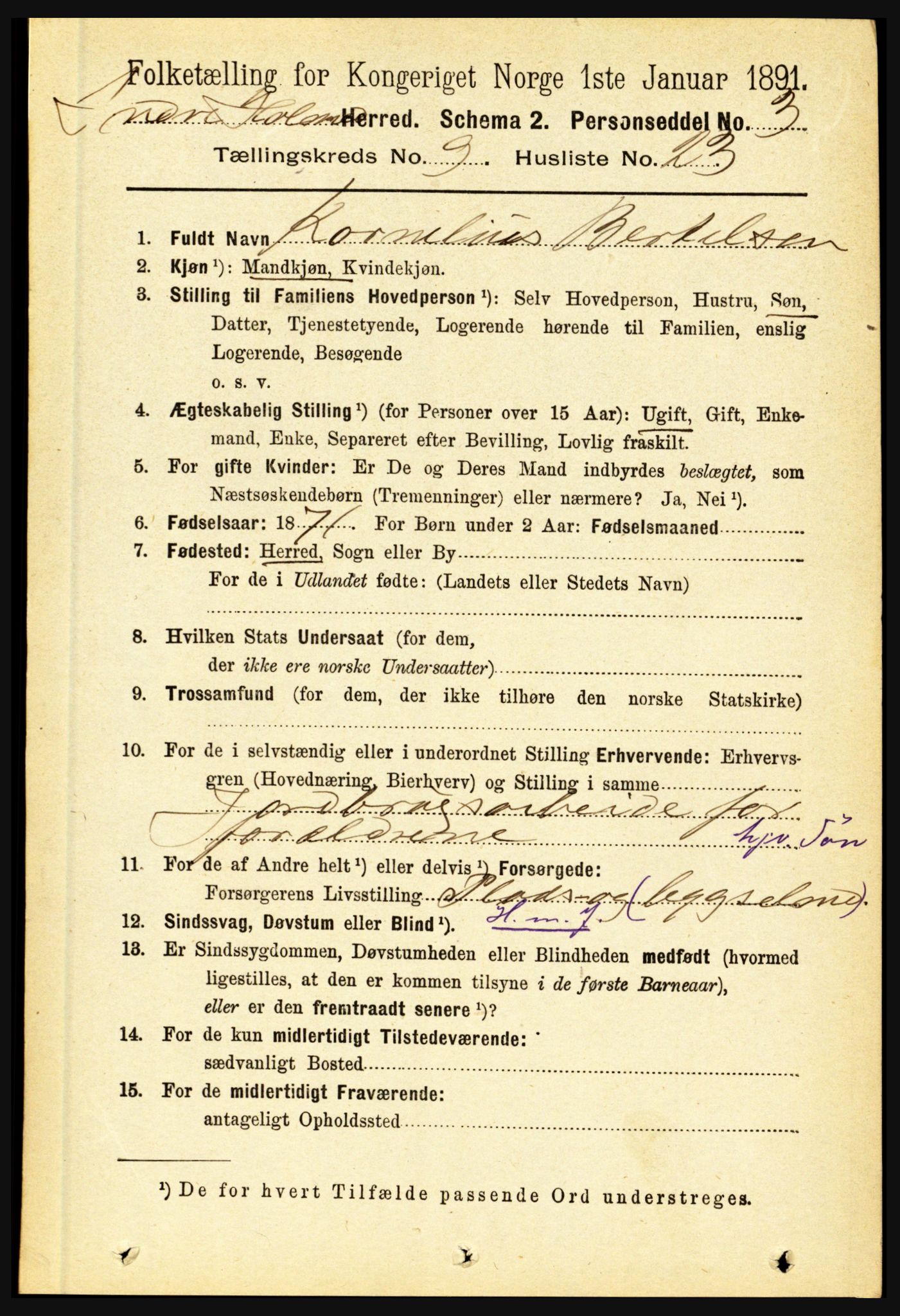 RA, 1891 census for 1430 Indre Holmedal, 1891, p. 4196