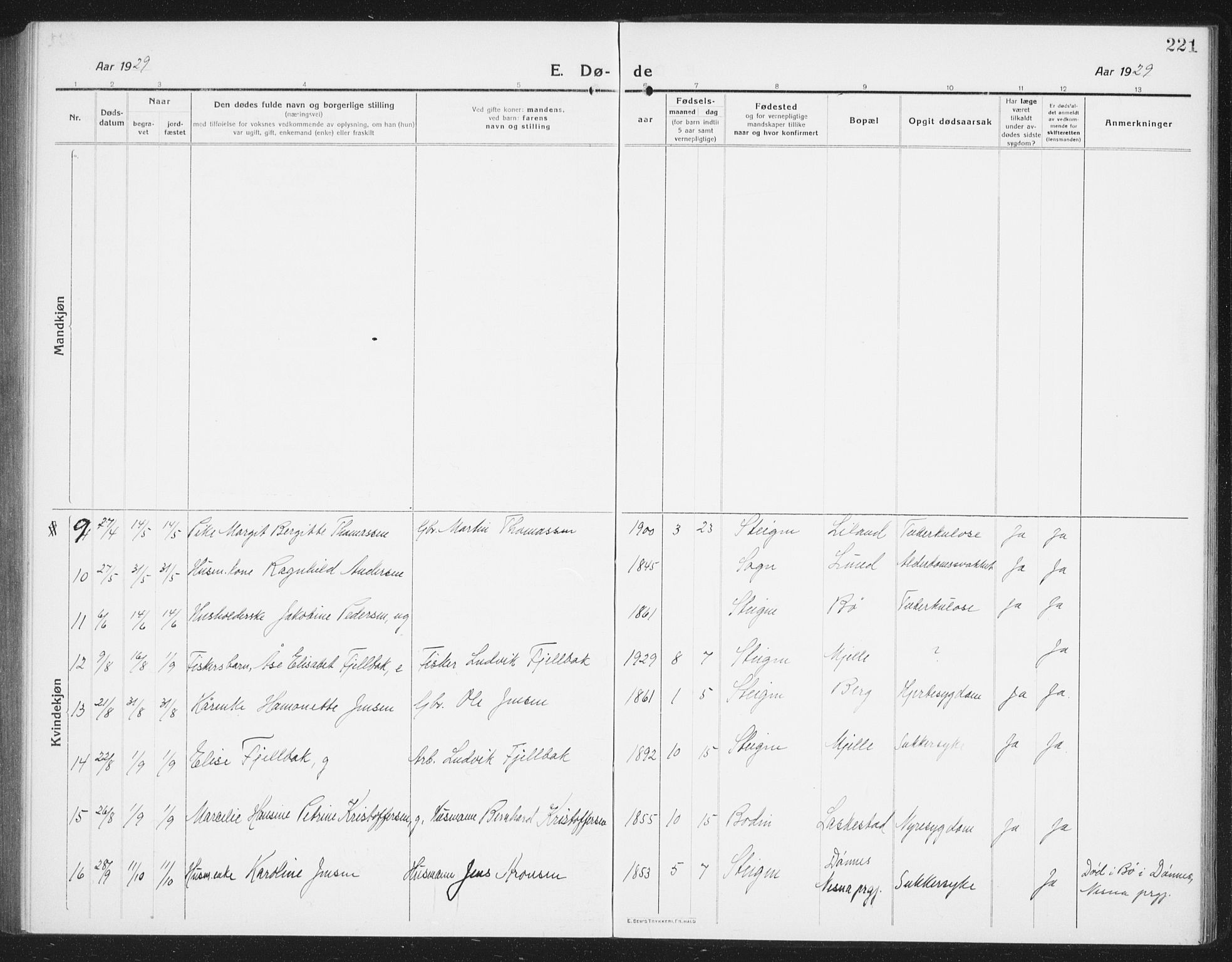 Ministerialprotokoller, klokkerbøker og fødselsregistre - Nordland, AV/SAT-A-1459/855/L0817: Parish register (copy) no. 855C06, 1917-1934, p. 221