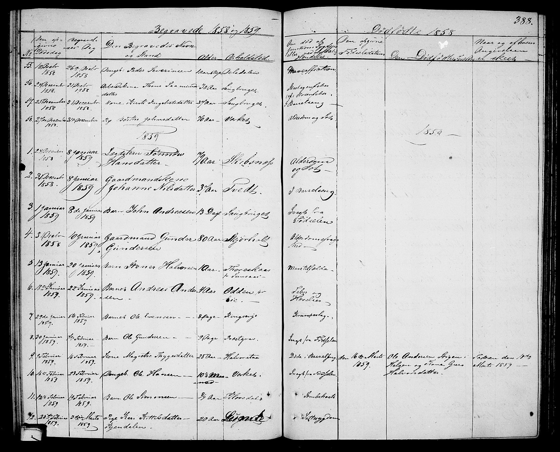 Holla kirkebøker, SAKO/A-272/G/Ga/L0003: Parish register (copy) no. I 3, 1849-1866, p. 388