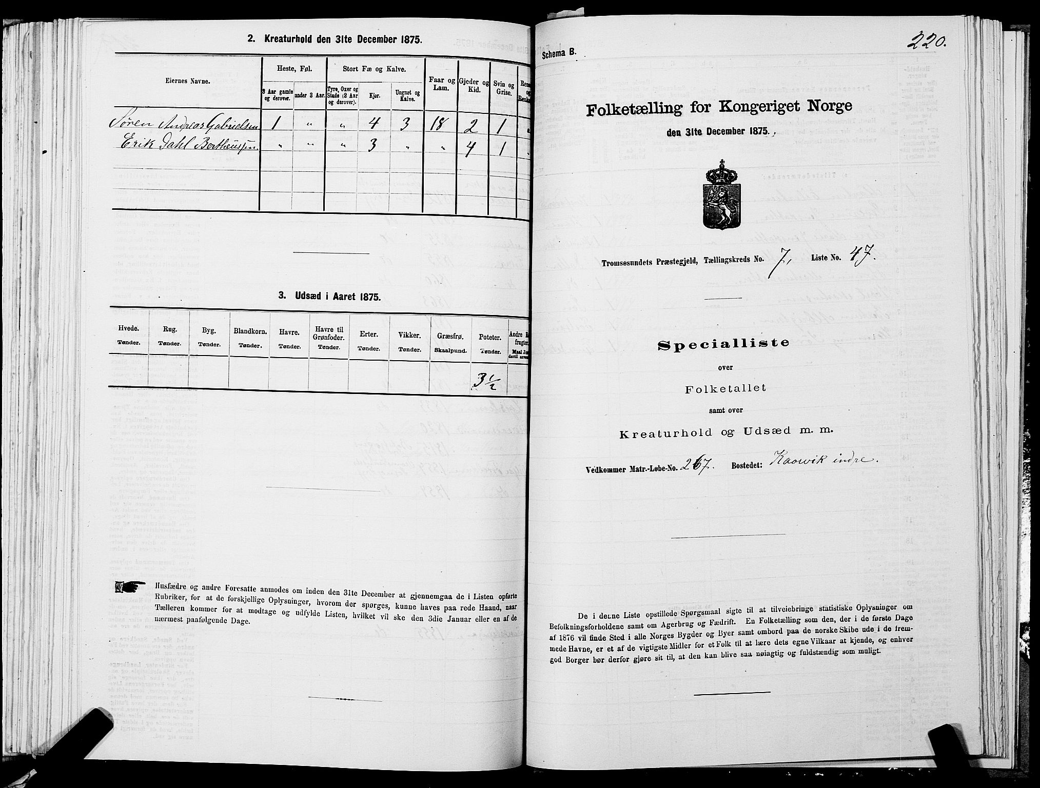 SATØ, 1875 census for 1934P Tromsøysund, 1875, p. 4220