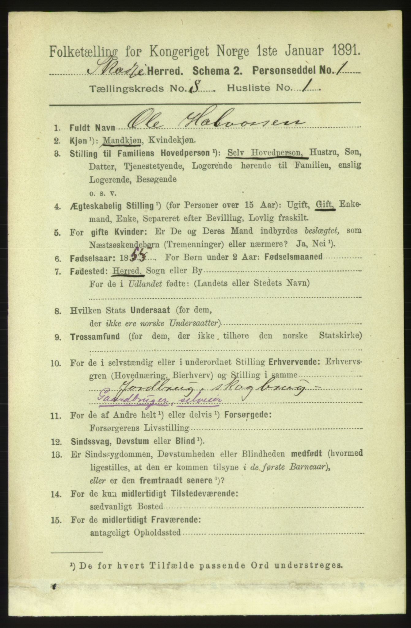 RA, 1891 census for 1529 Skodje, 1891, p. 1694